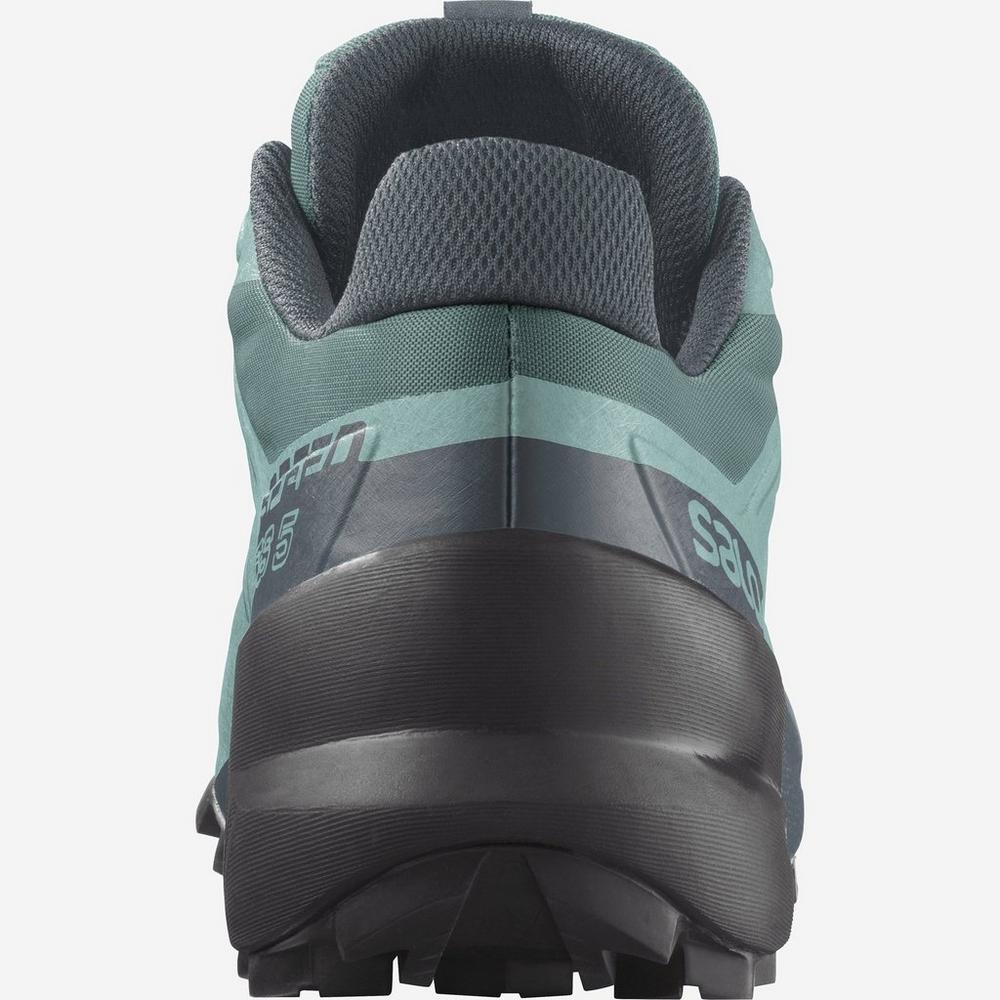 Salomon Women's Speedcross 5 - Trellis/ Storm Weather/ Phantom