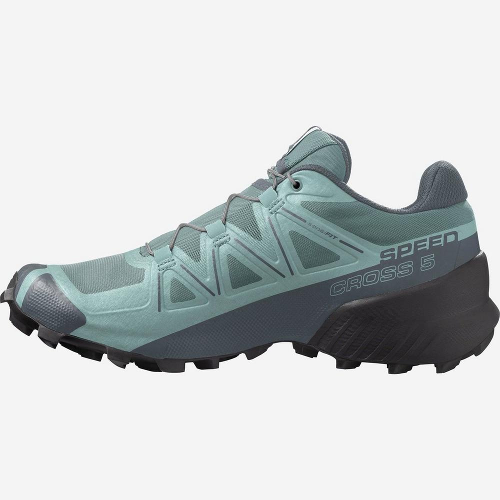 Salomon Women's Speedcross 5 - Trellis/ Storm Weather/ Phantom