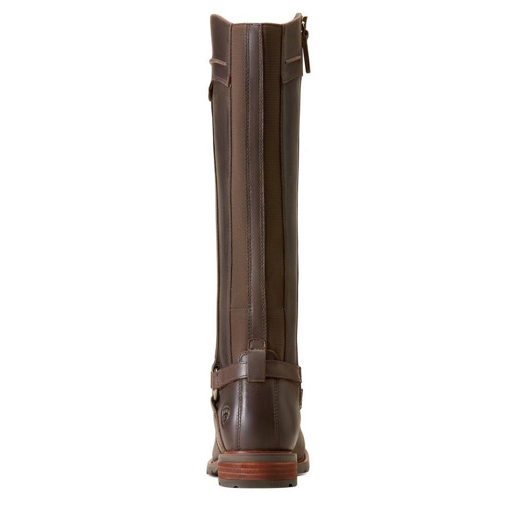Ariat Women's Scarlett Tall Boots - Brown