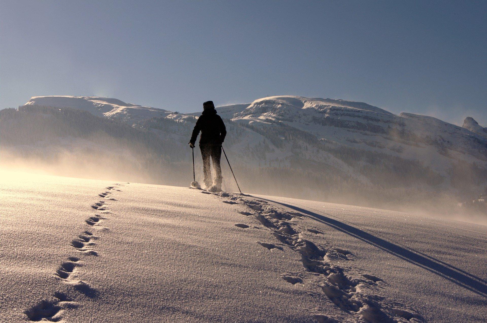Walking Poles Snow