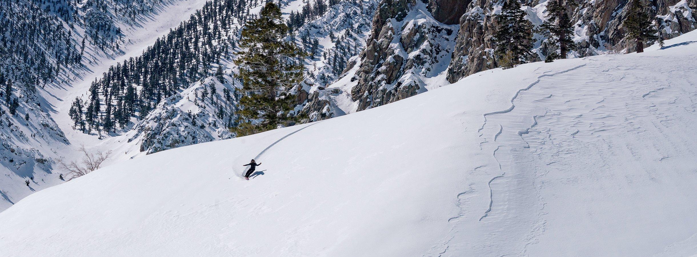what is a splitboard snowboard