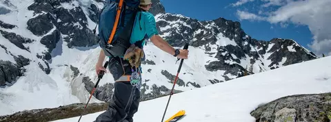 clp banner ski poles adjustable