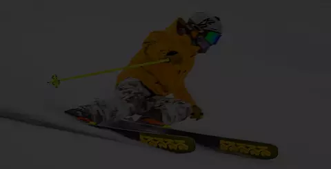 homepage 2up ski