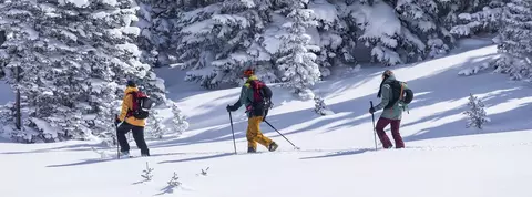 clp banner ski touring skis