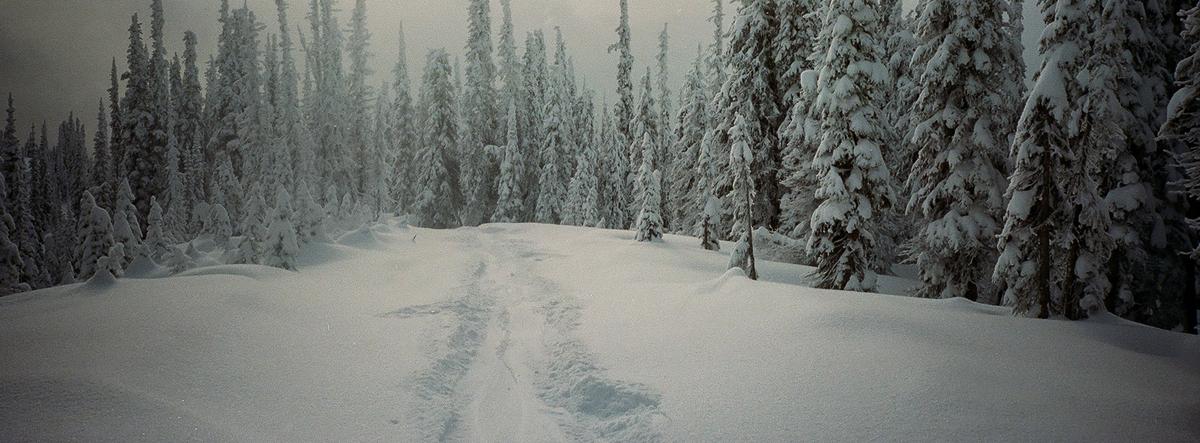 Splitboard Snowboards | K2 Snow