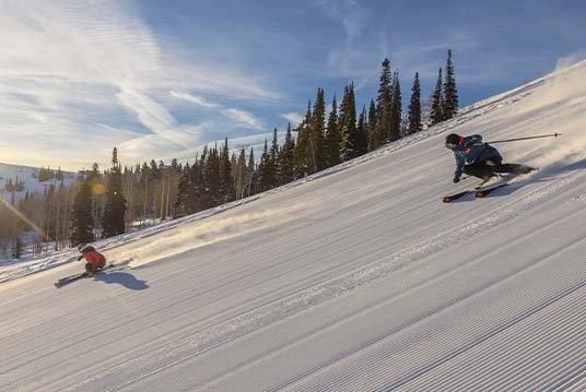 mm banner skis disruption collection