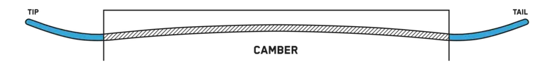 snowboard profile twin camber