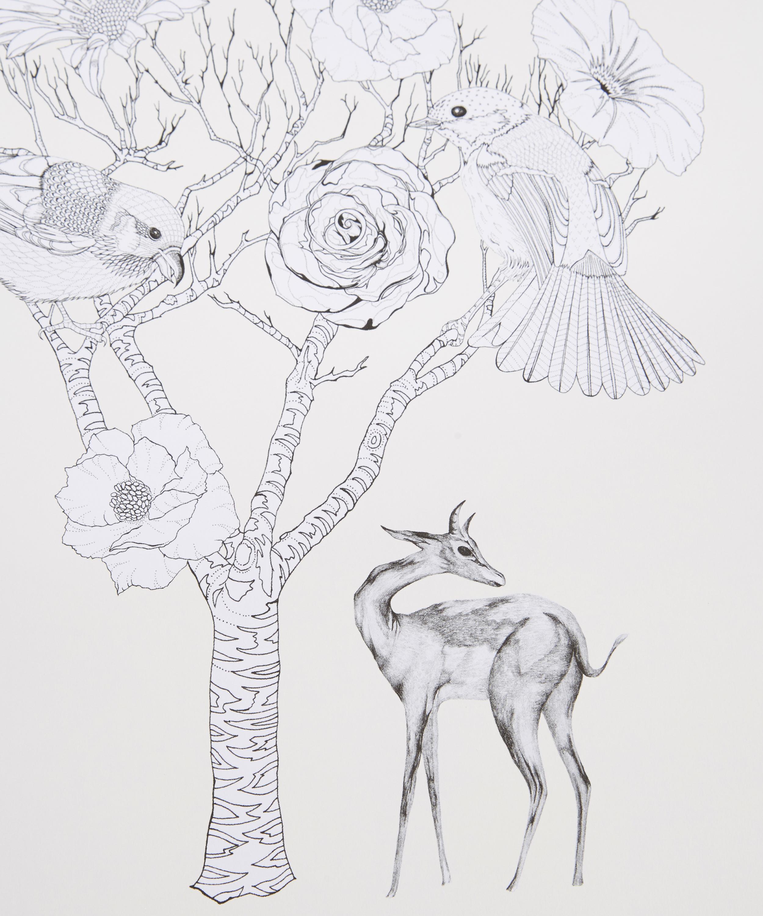 47+ Birdtopia Coloring Book Free