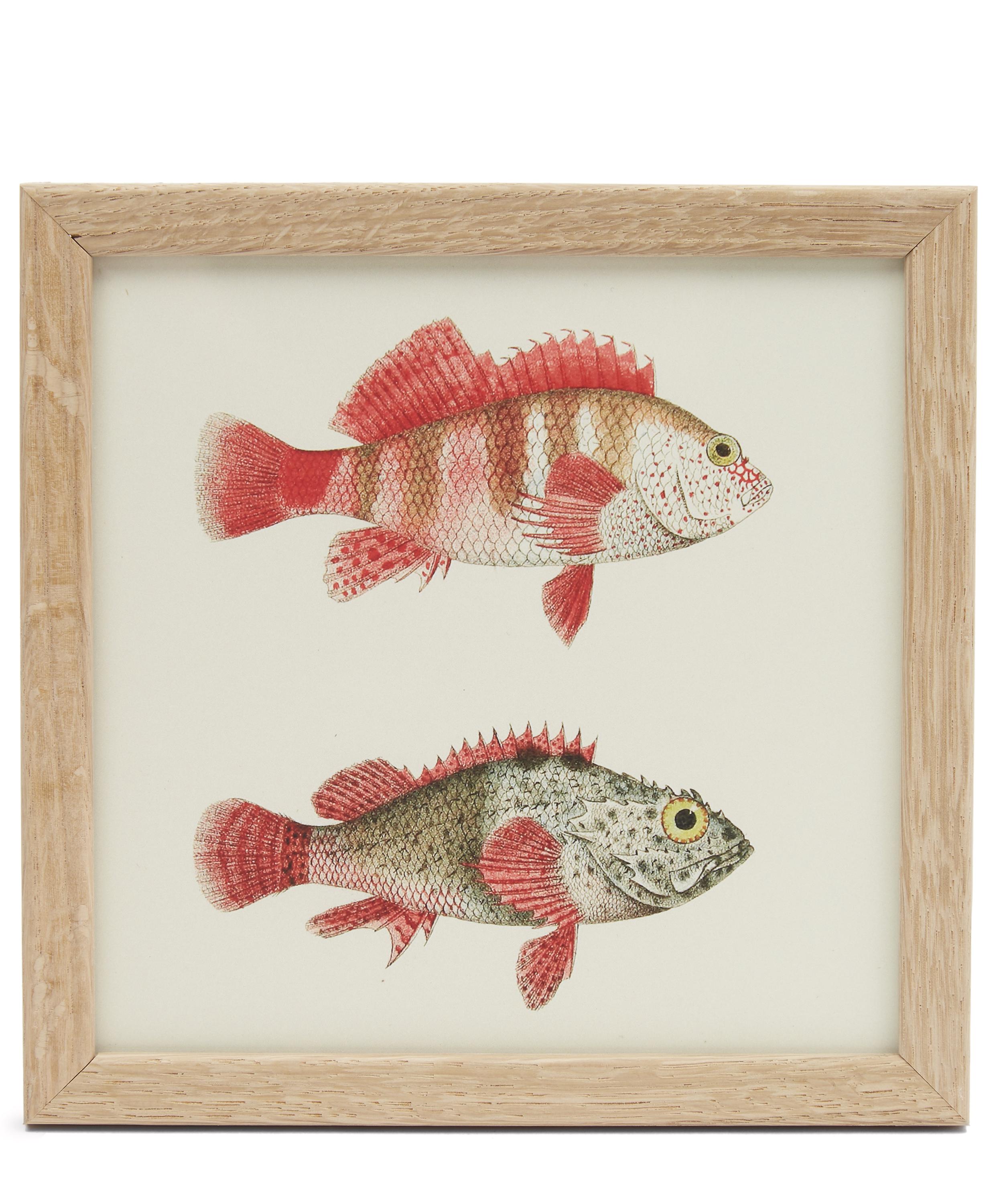 Fish Duo Framed Print | Liberty London