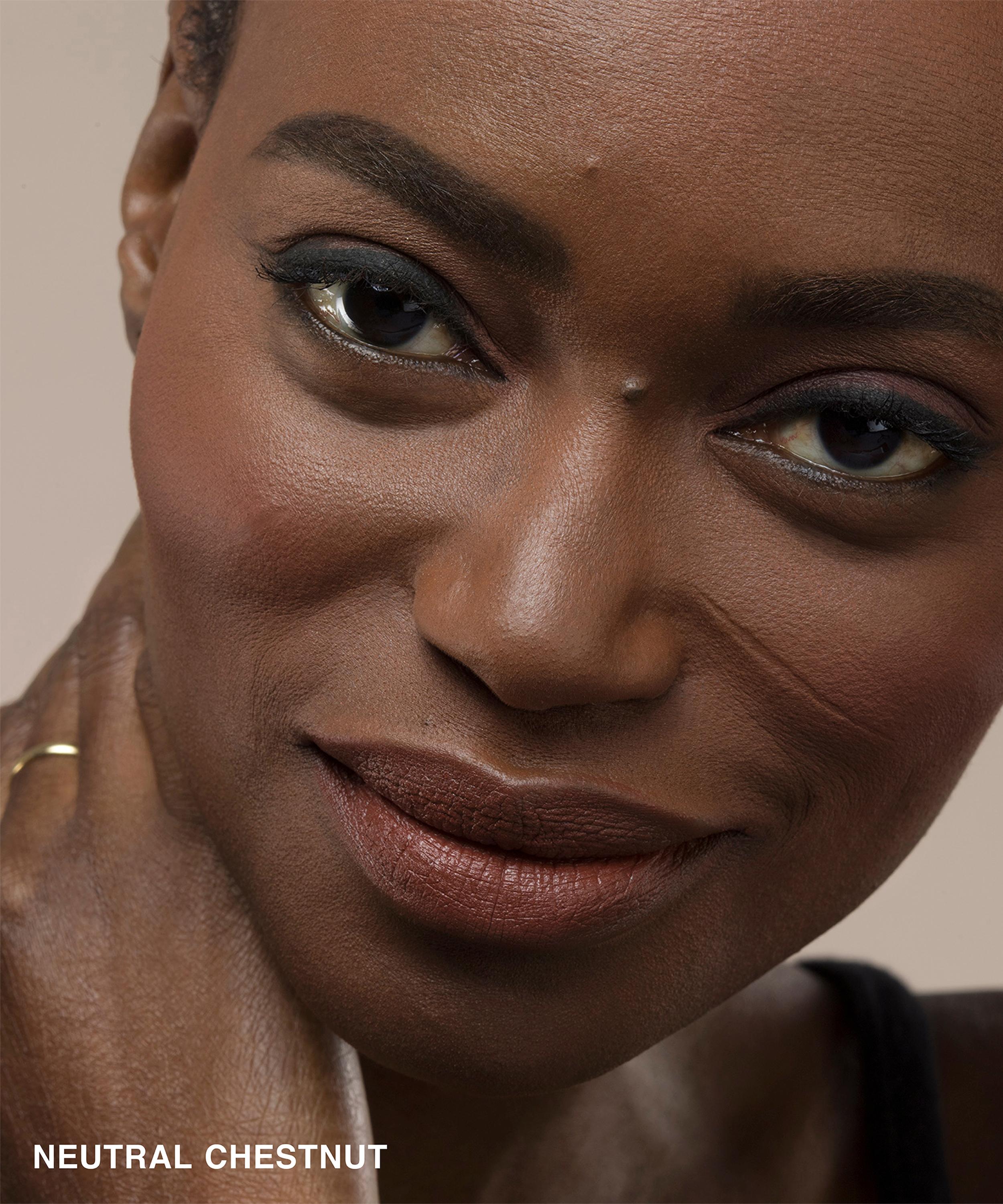 Bobbi Brown Skin Foundation Stick In Neutral Chestnut