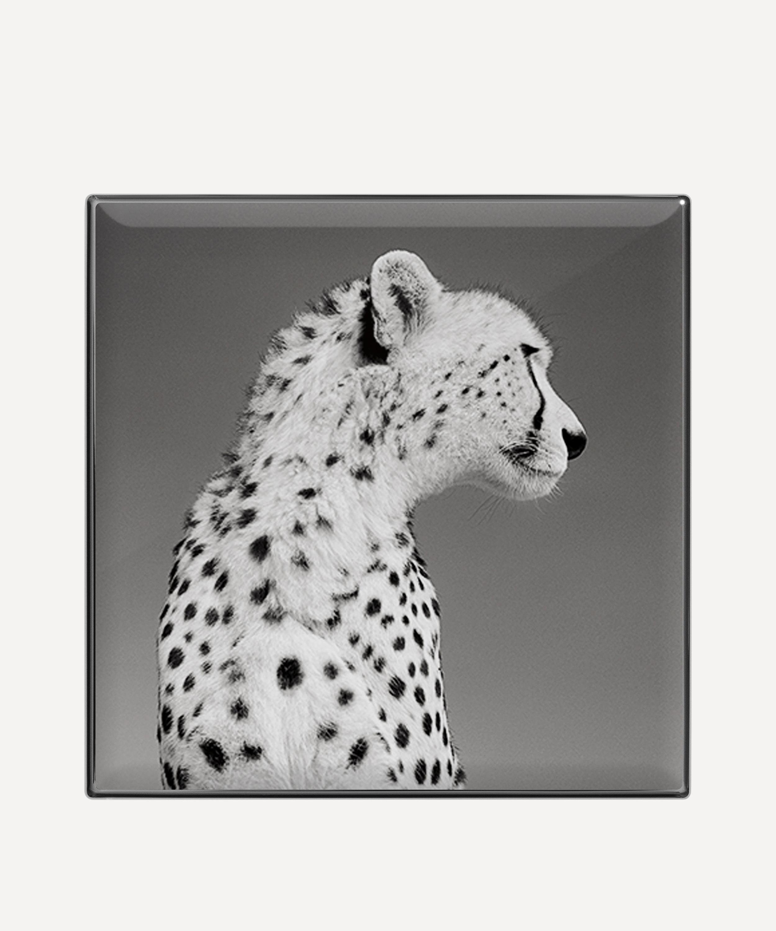 Chantecaille Cheetah Luminescent Eye Shade In Cheetah