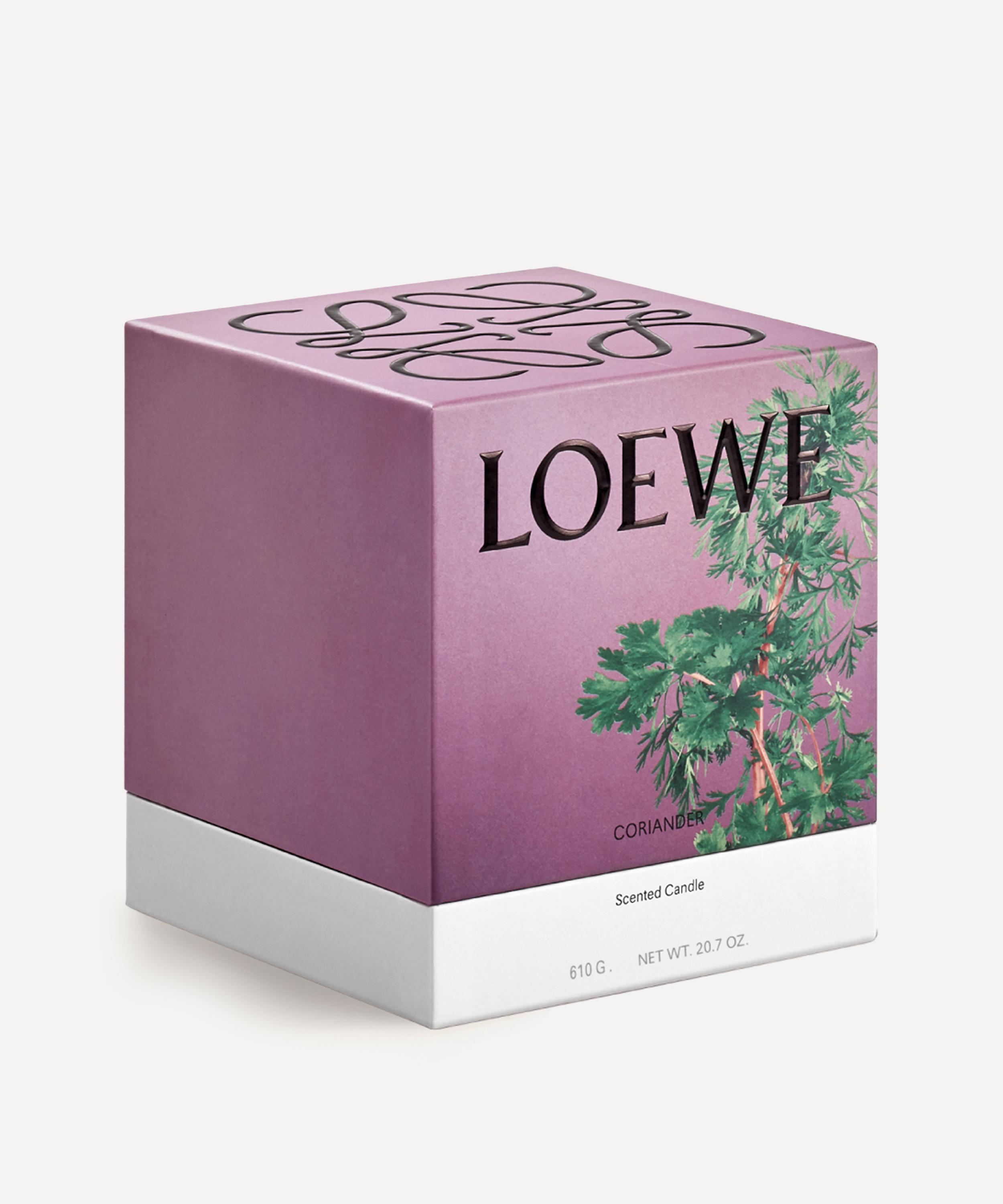 Loewe Large Coriander Candle 2120g
