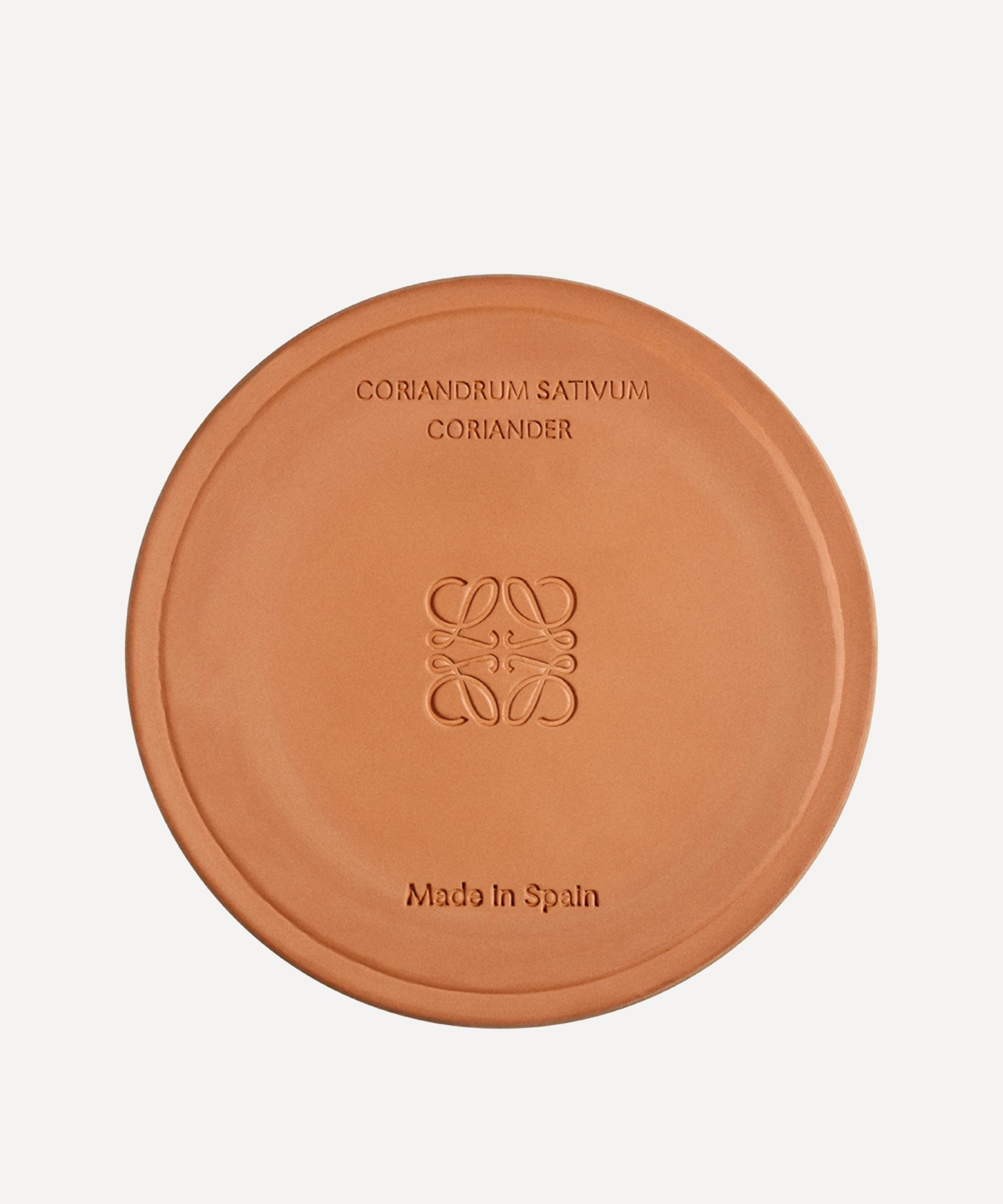 Loewe Large Coriander Candle 2120g