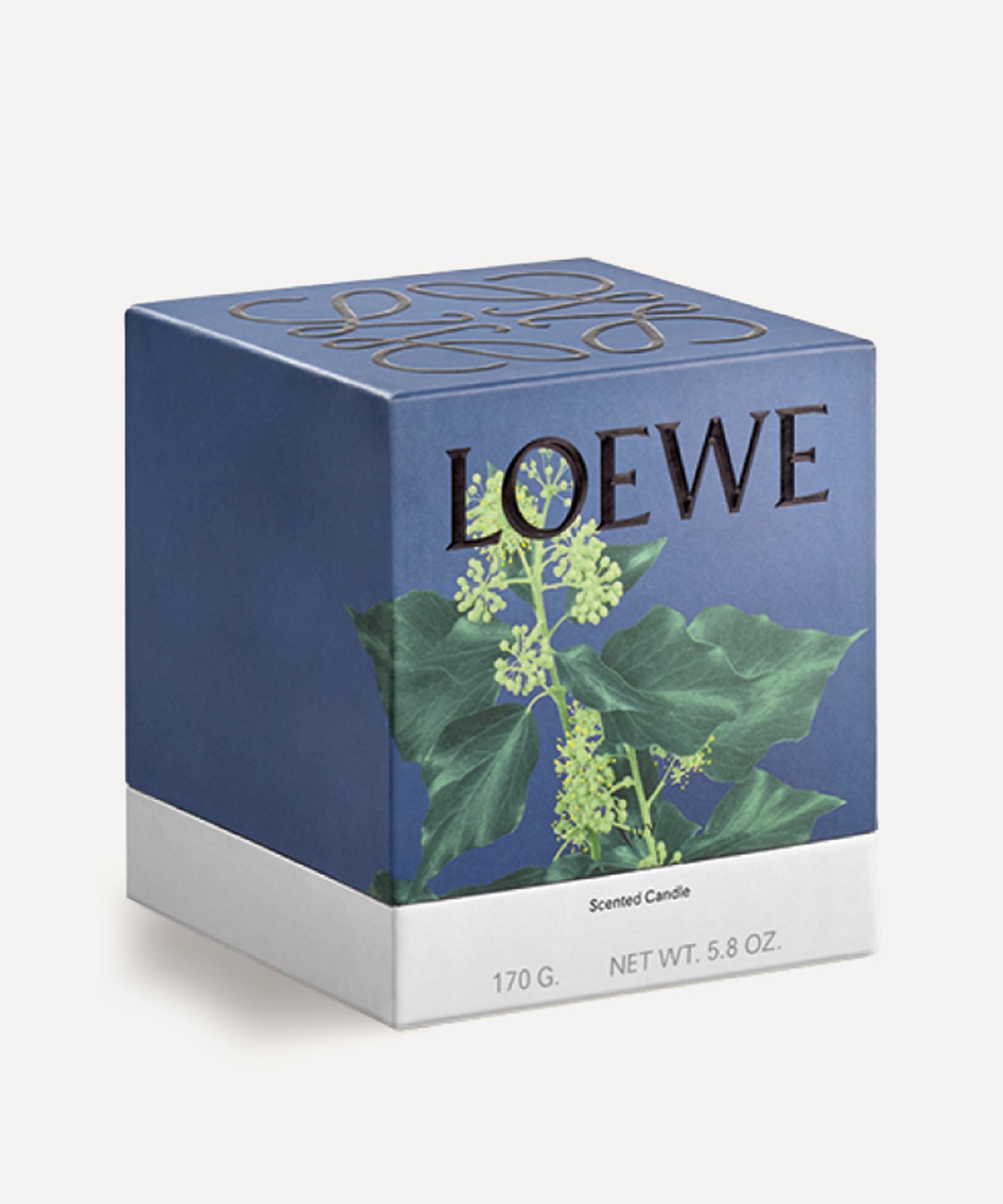 LOEWE LOEWE SMALL IVY CANDLE 170G