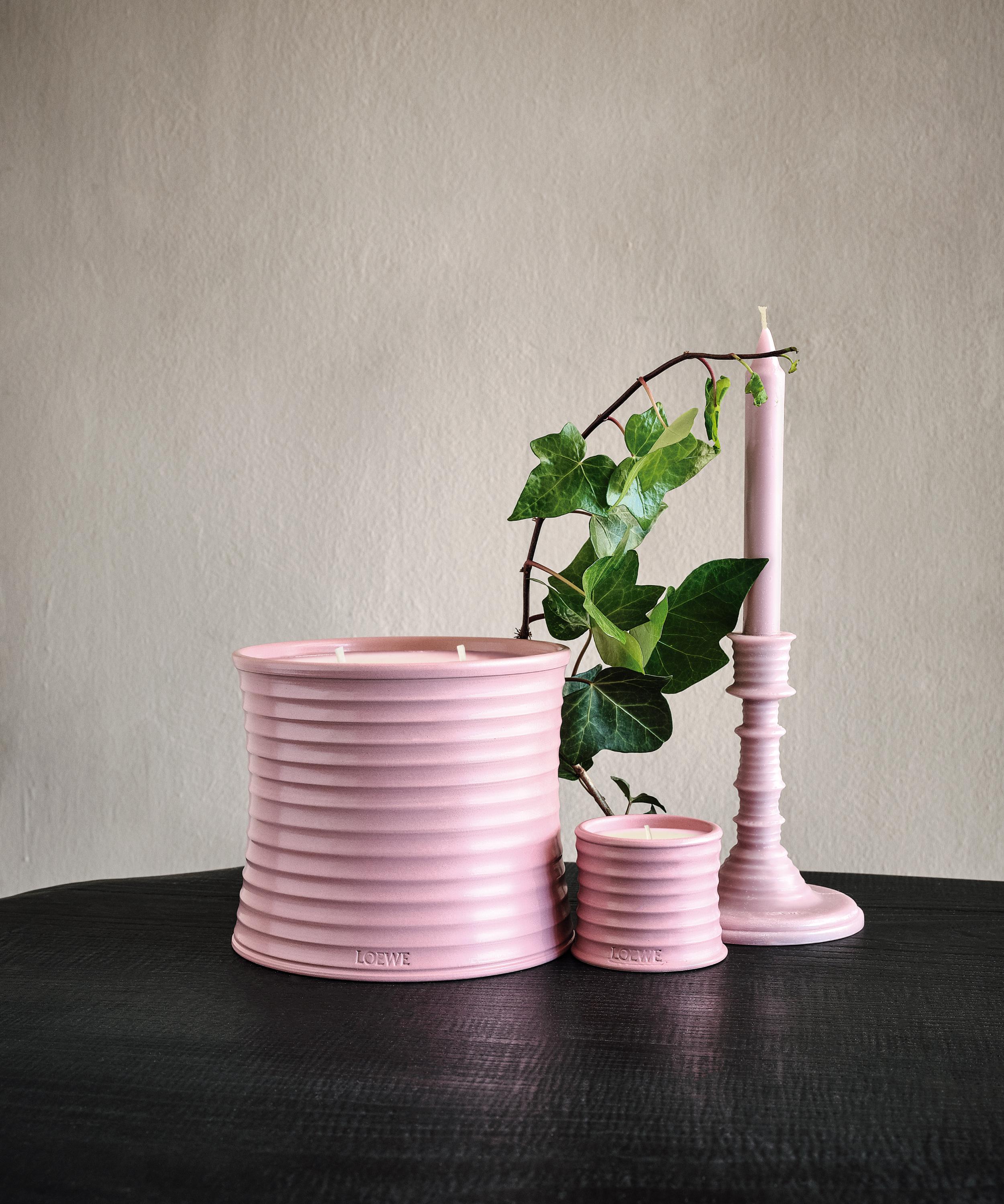 LOEWE LOEWE SMALL IVY CANDLE 170G