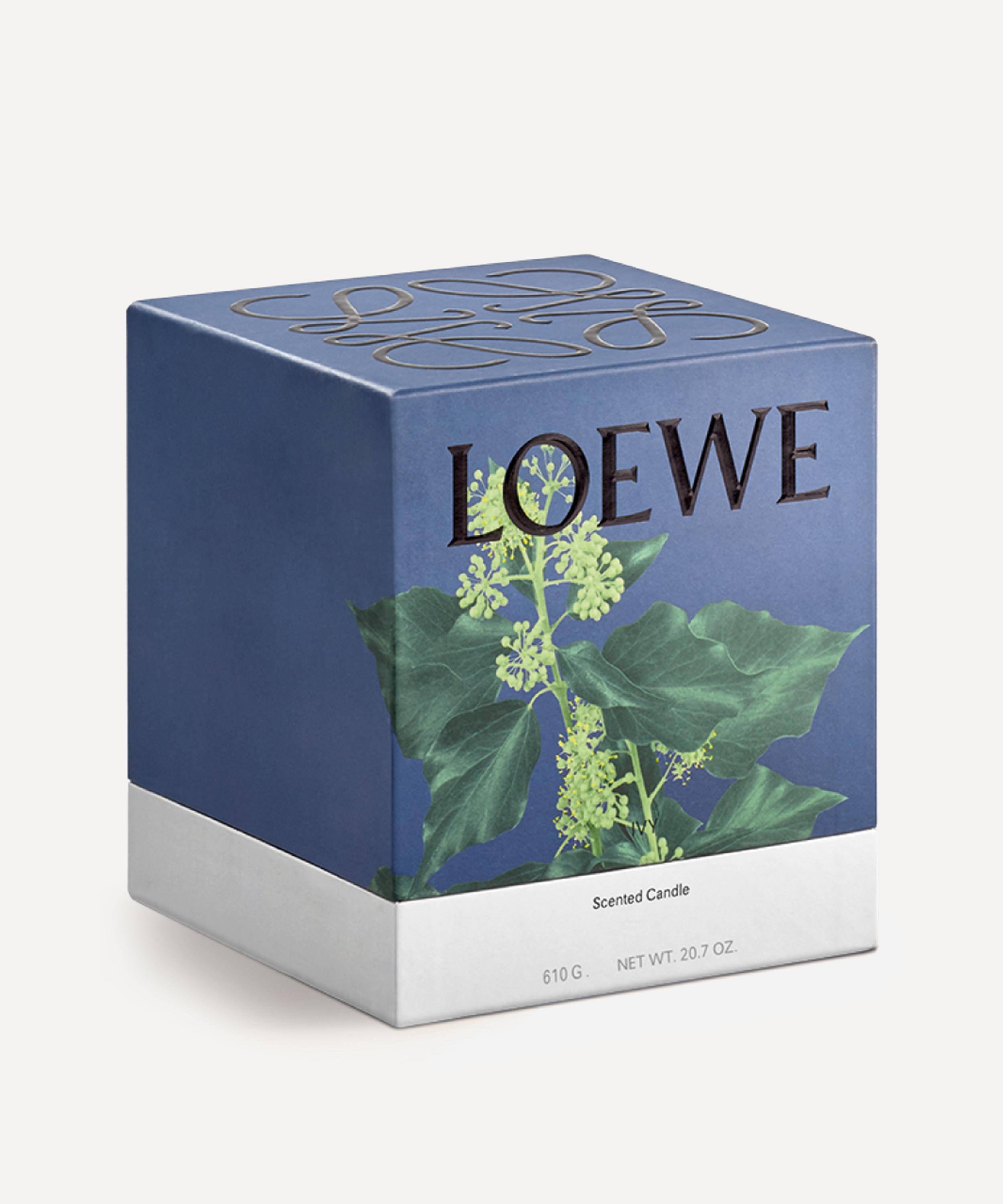 LOEWE LOEWE MEDIUM IVY CANDLE 610G