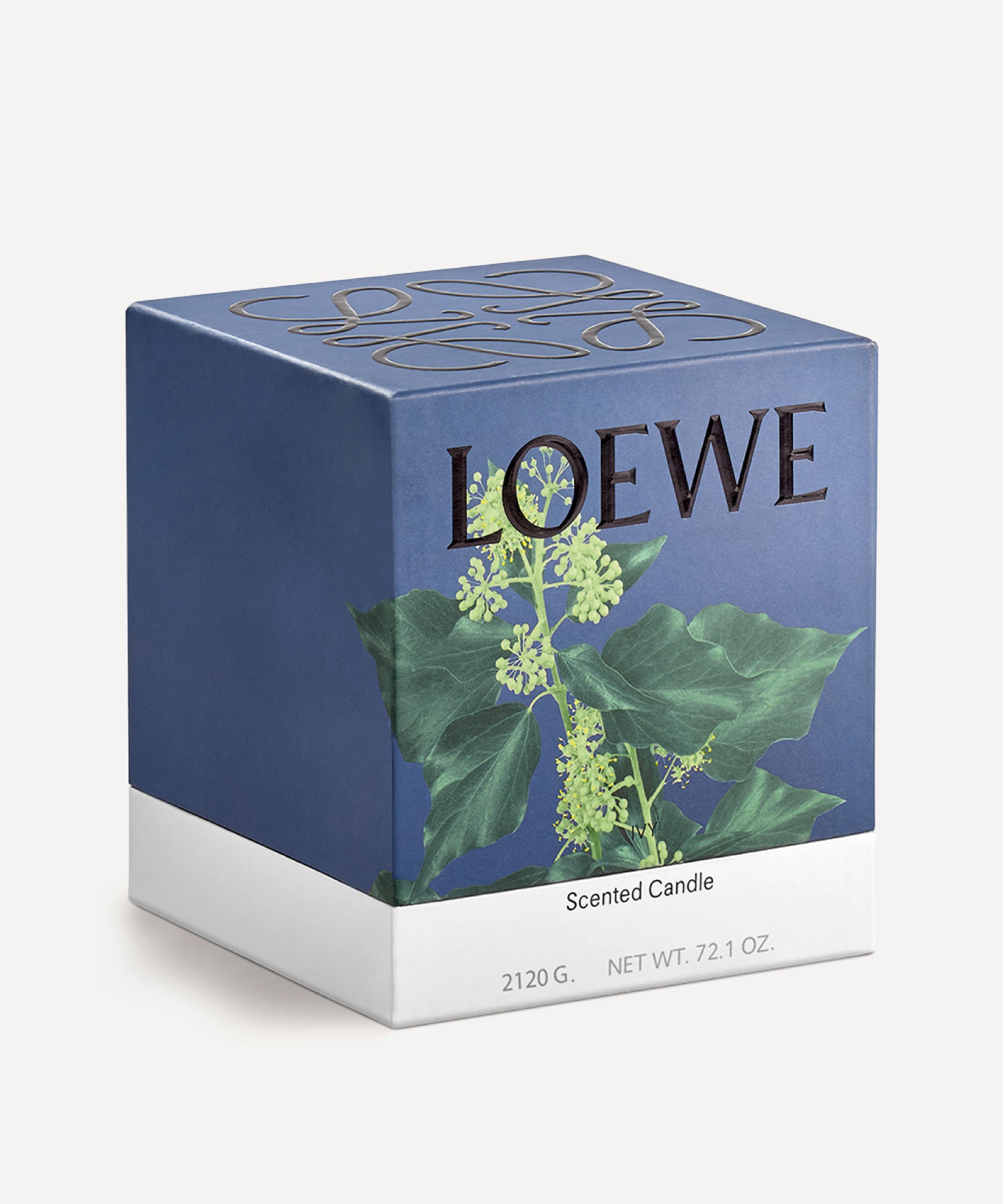 LOEWE LOEWE LARGE IVY CANDLE 2120G