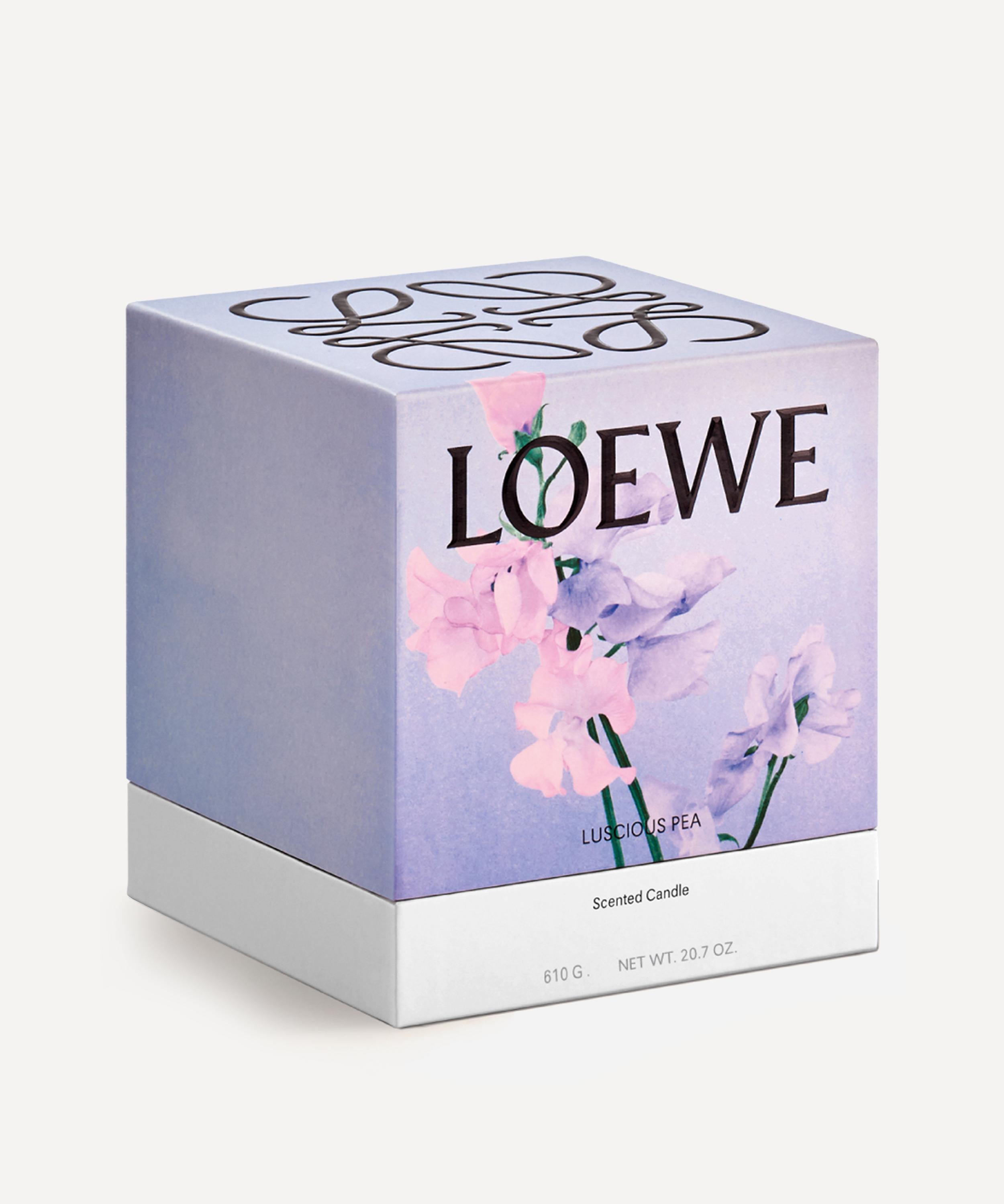 LOEWE LOEWE MEDIUM LUSCIOUS PEA CANDLE 610G