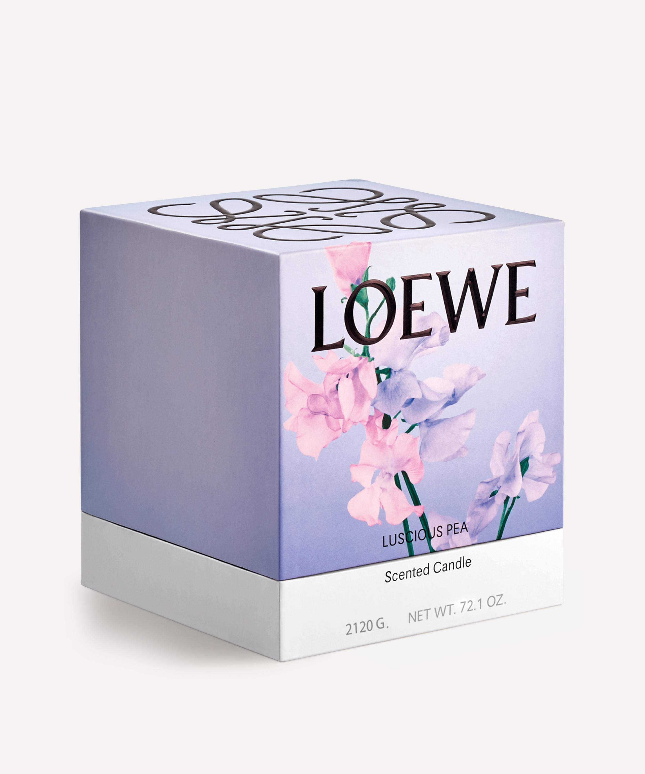 LOEWE LOEWE LARGE LUSCIOUS PEA CANDLE 2120G