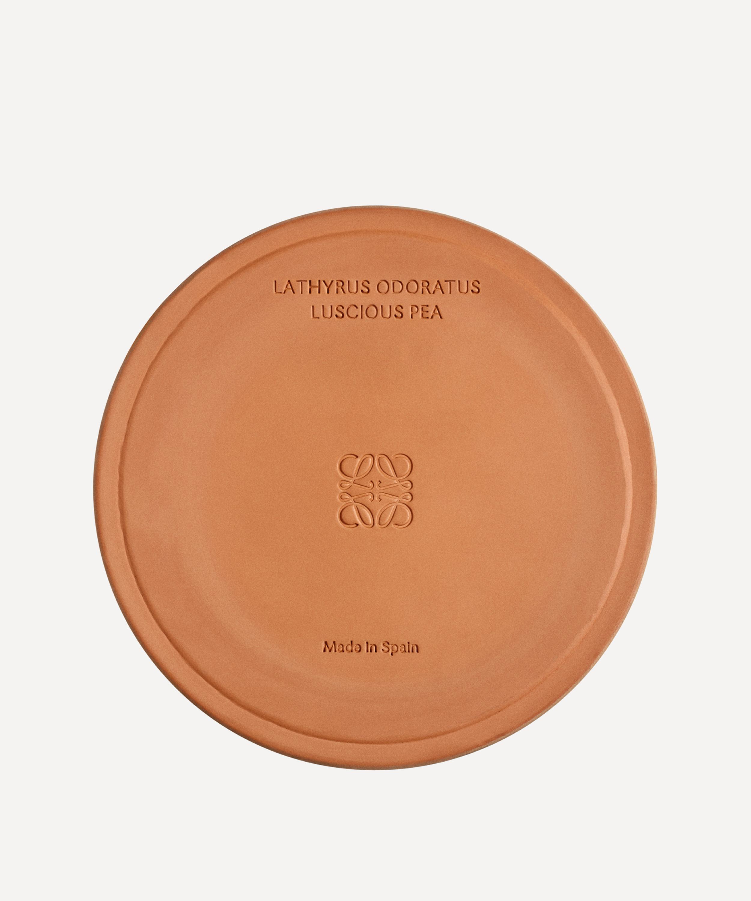 LOEWE LOEWE LARGE LUSCIOUS PEA CANDLE 2120G