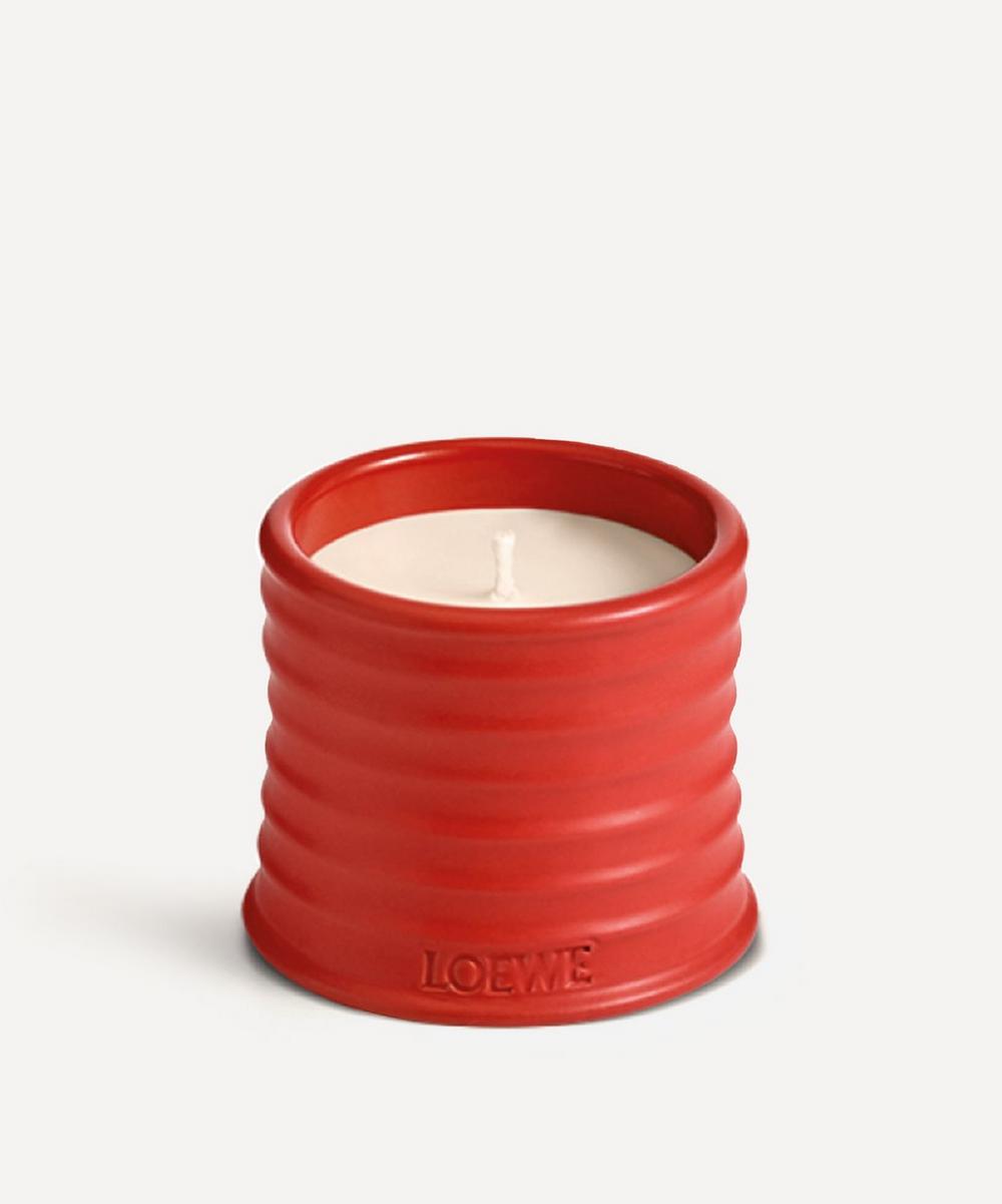 Loewe - Small Tomato Leaves Candle 170g