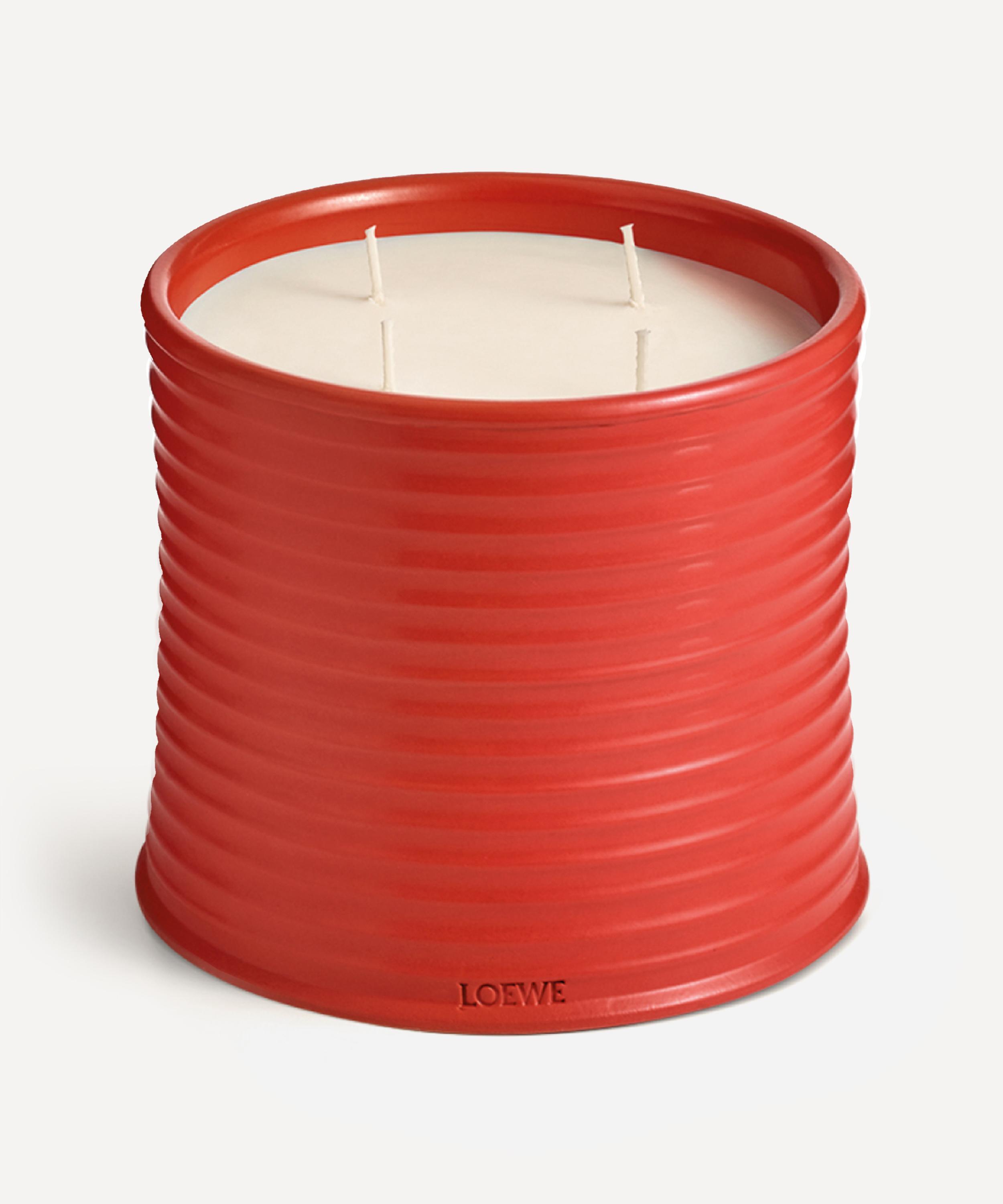 Loewe Large Tomato Leaves Candle 2120g
