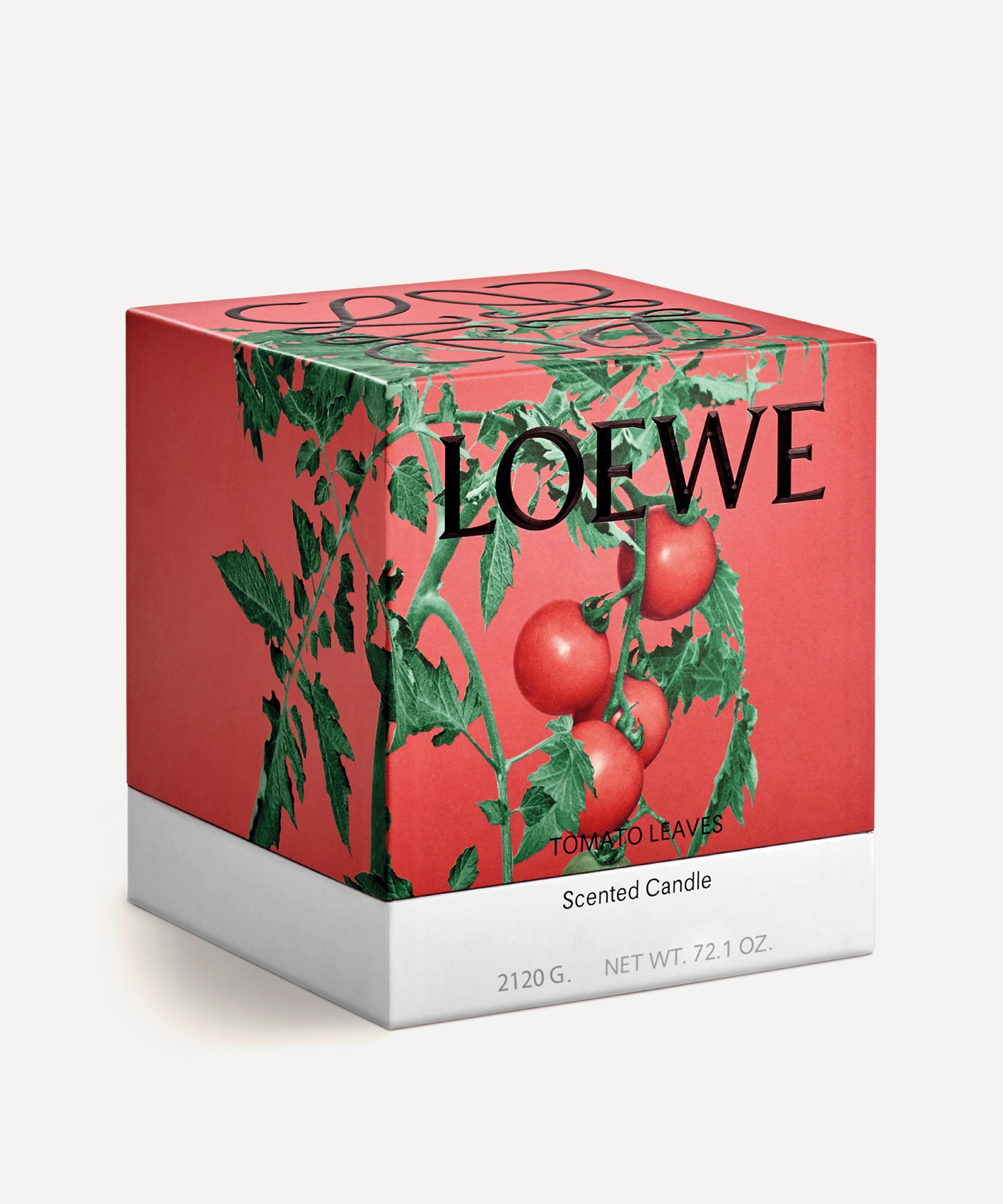 Loewe Large Tomato Leaves Candle 2120g