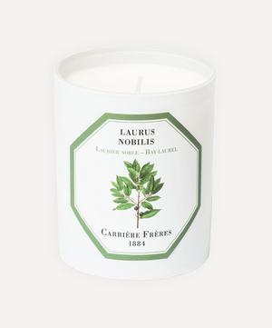 Bay Laurel Scented Candle 185g