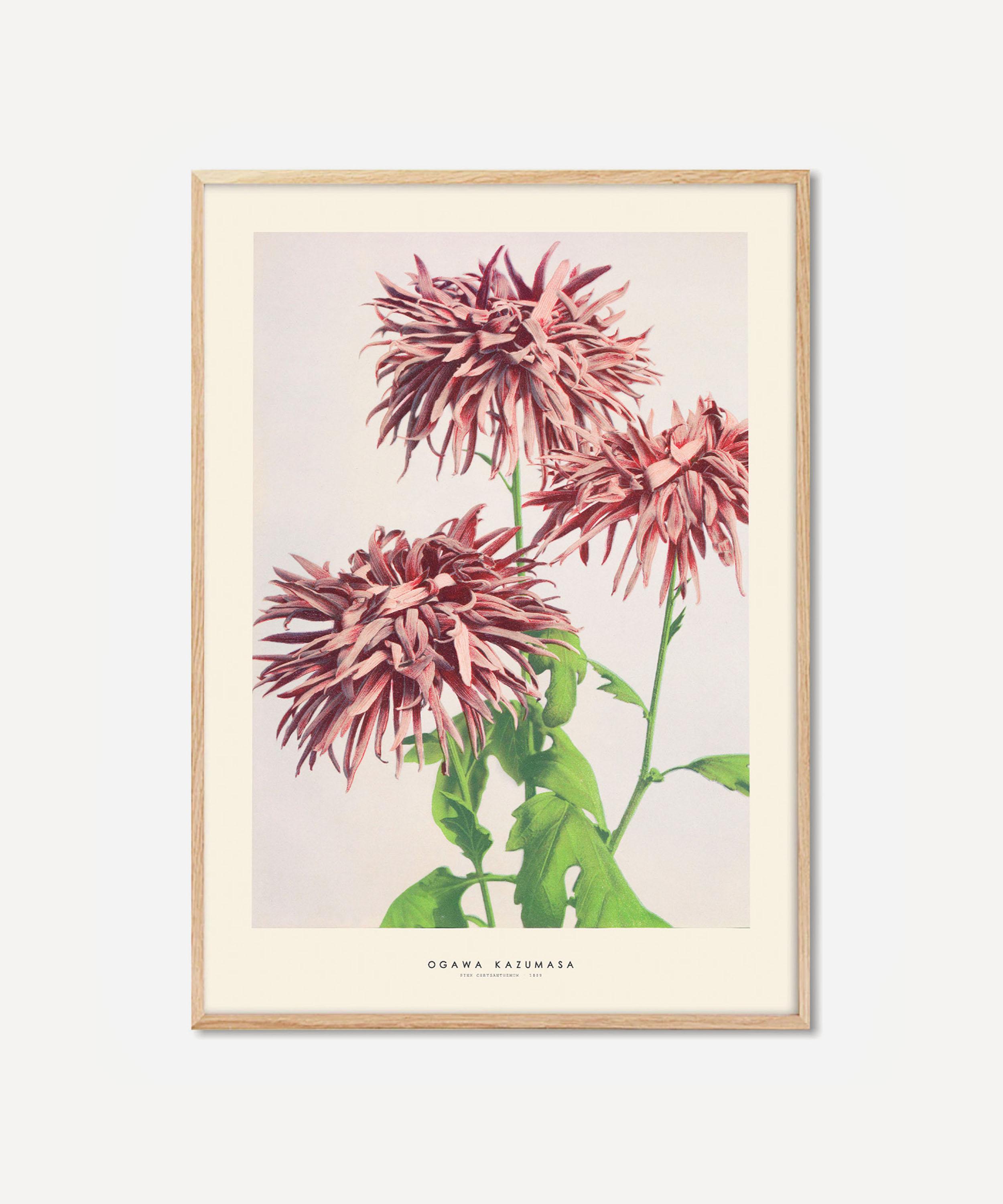 Pstr Studio Unframed Ogawa Kazumasa Pink Print In Assorted