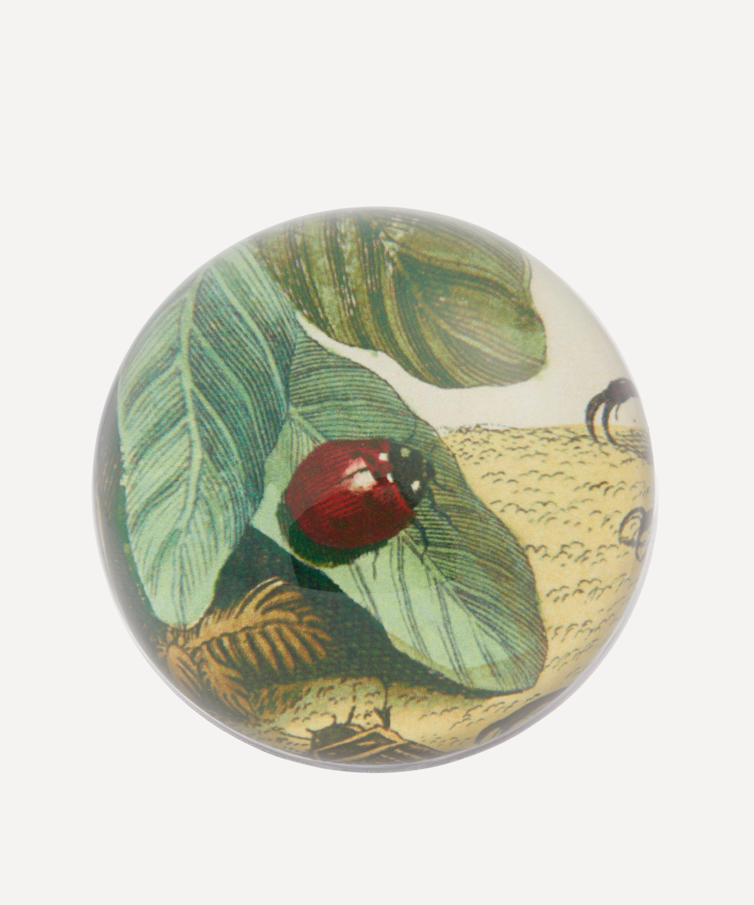 John Derian Ladybug Paperweight
