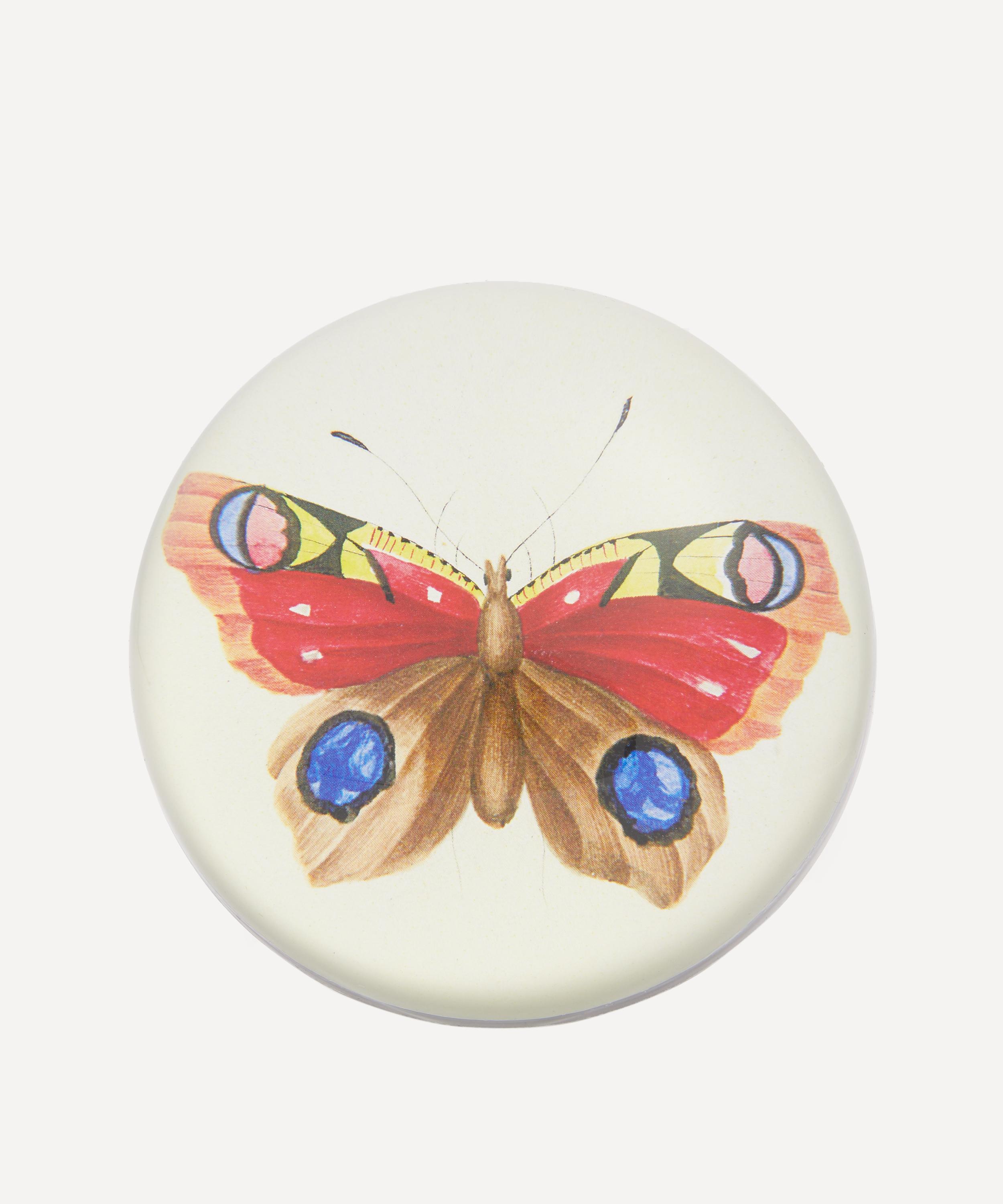 John Derian Painted Papillion Paperweight