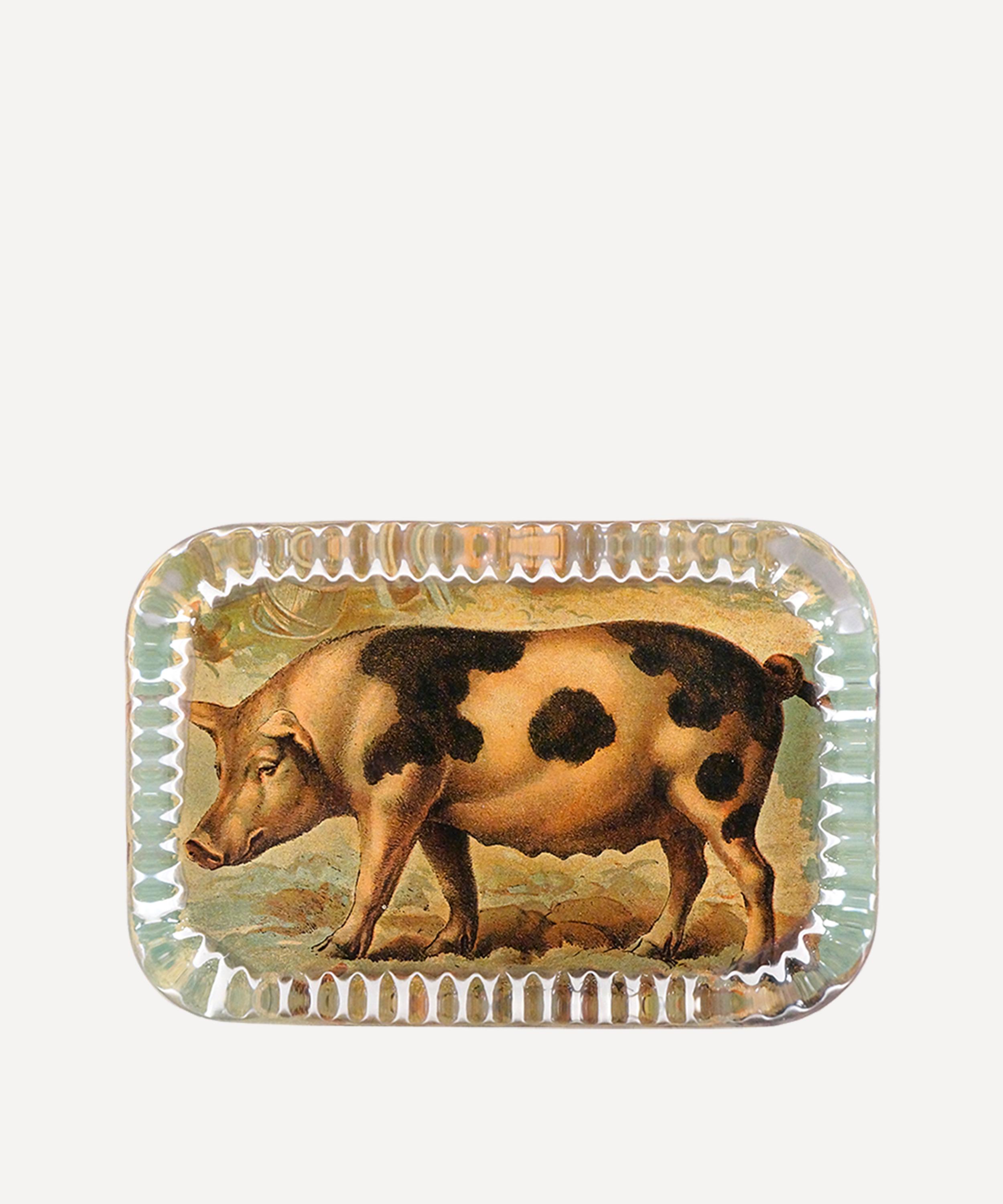 John Derian Pig On Farm Dotted Edge Paperweight