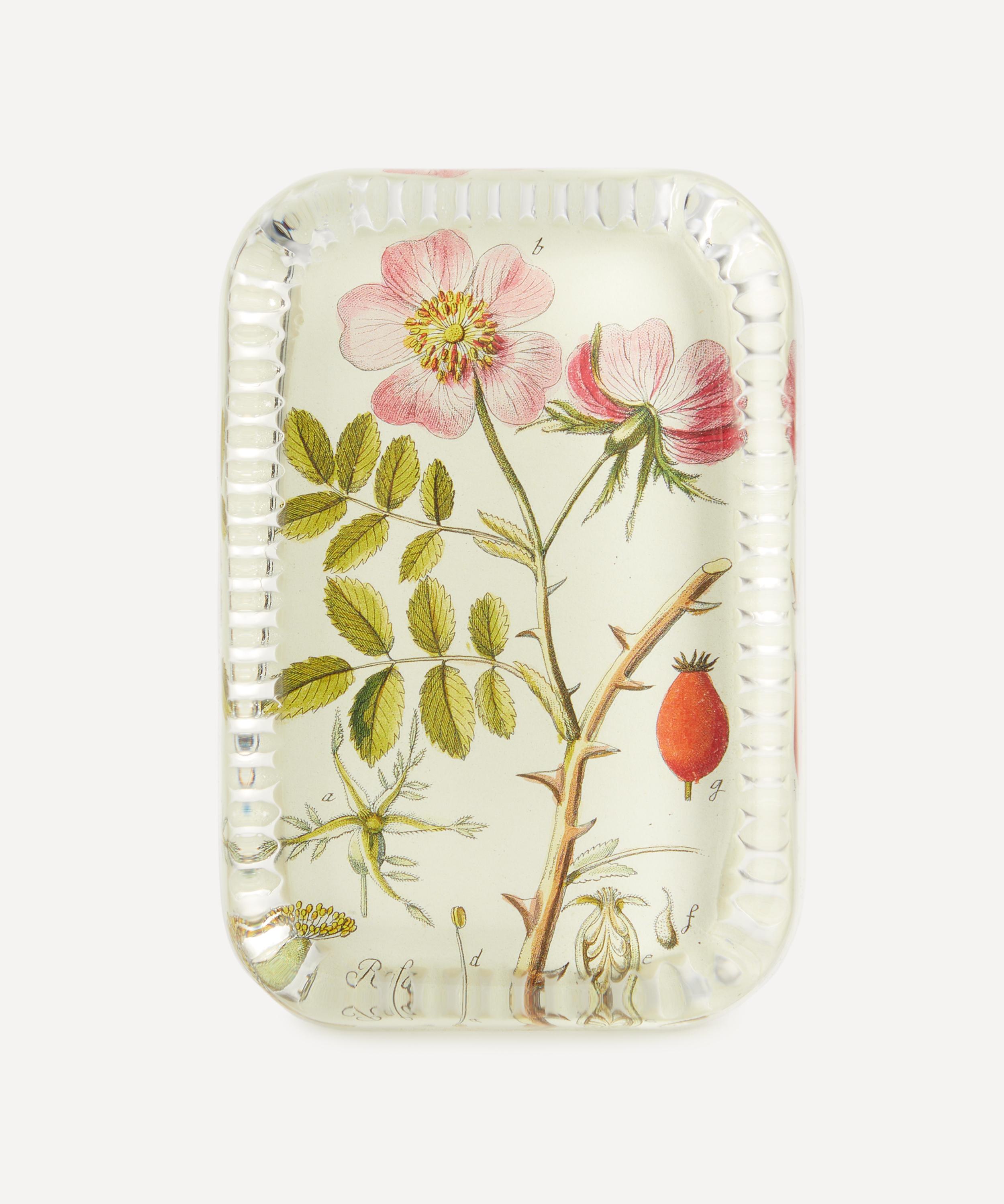 John Derian Rose Cannia Dotted Edge Paperweight
