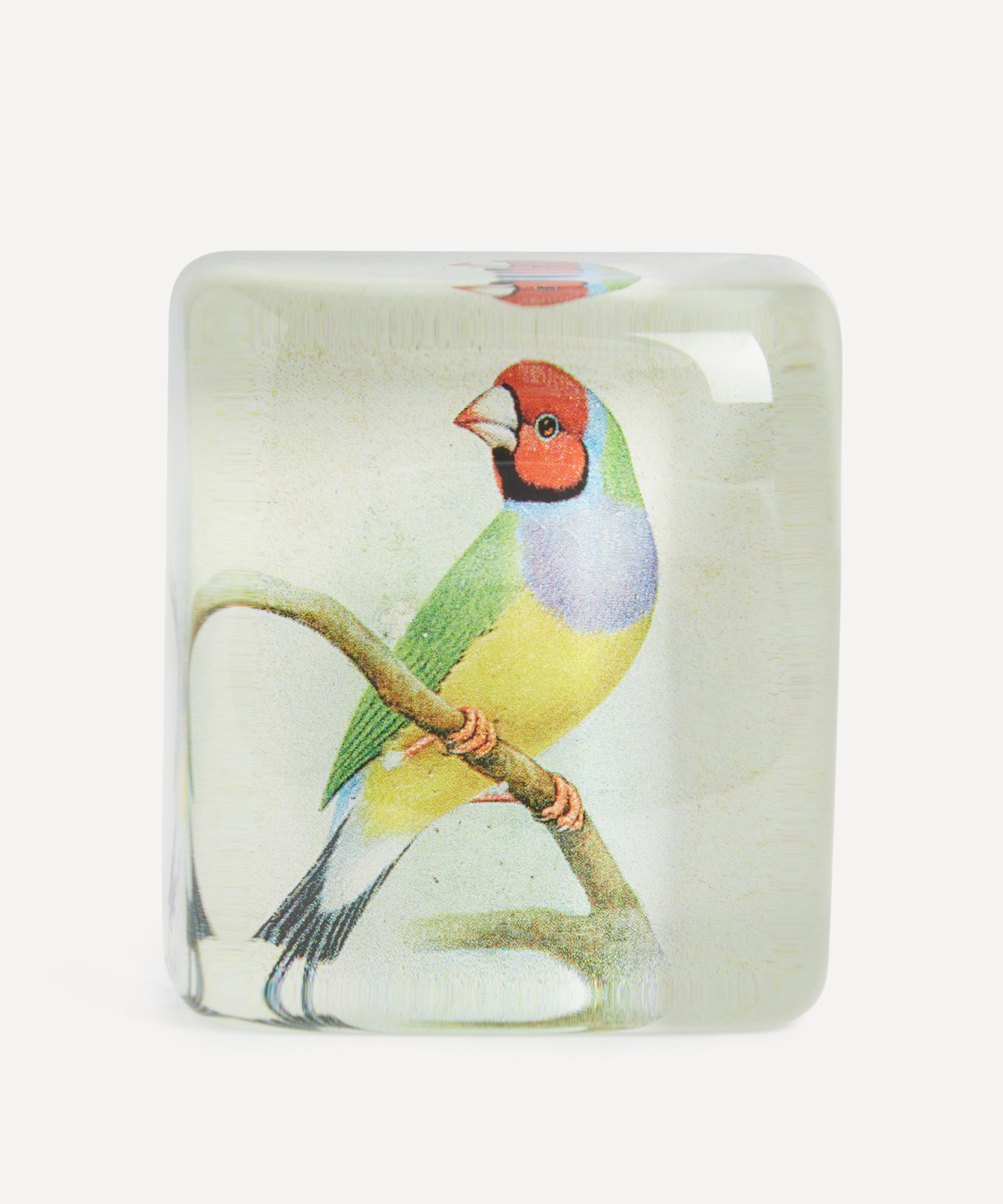 John Derian Red-headed Gouldian Finch Paperweight
