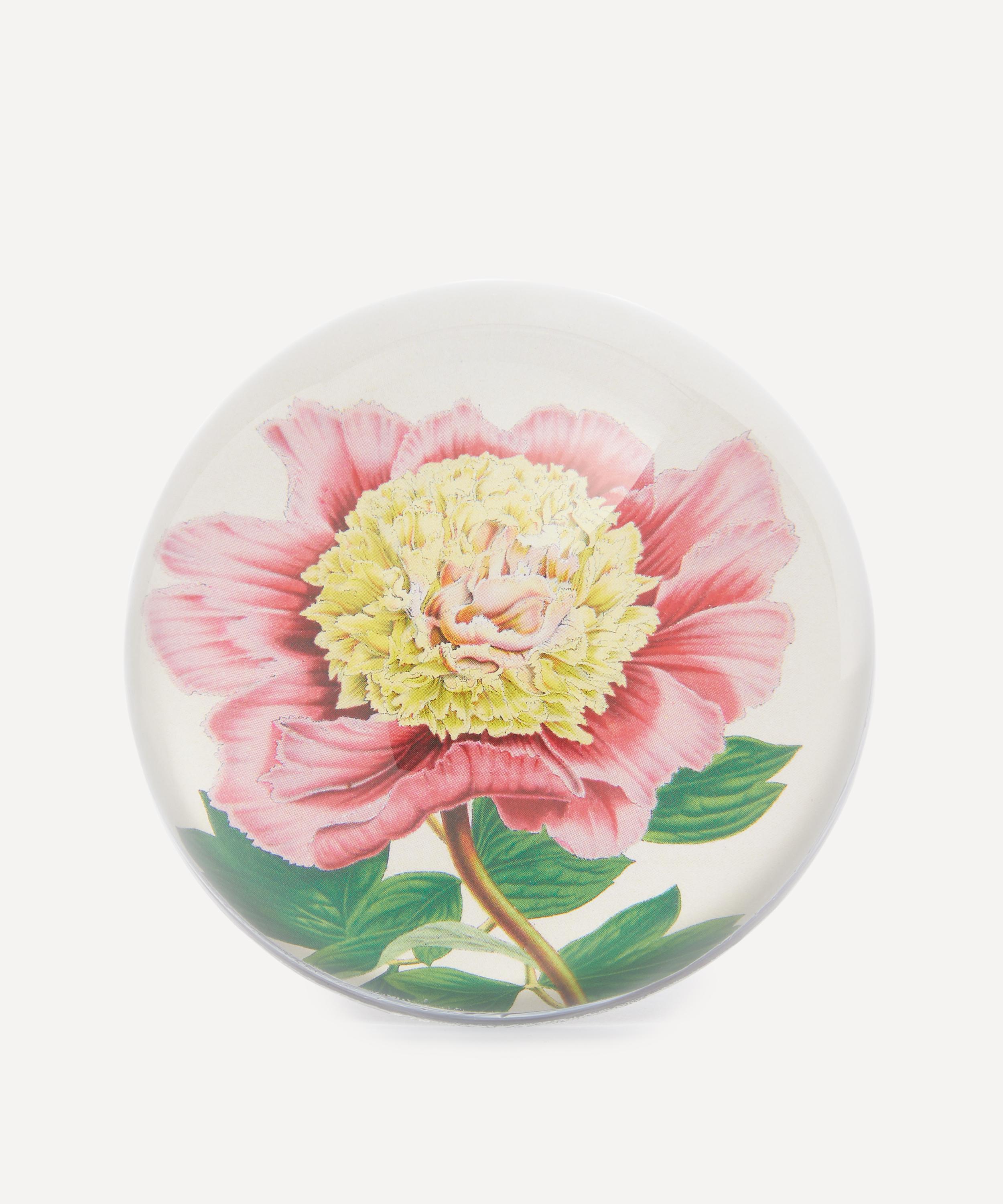 John Derian Peony Albifl Paperweight