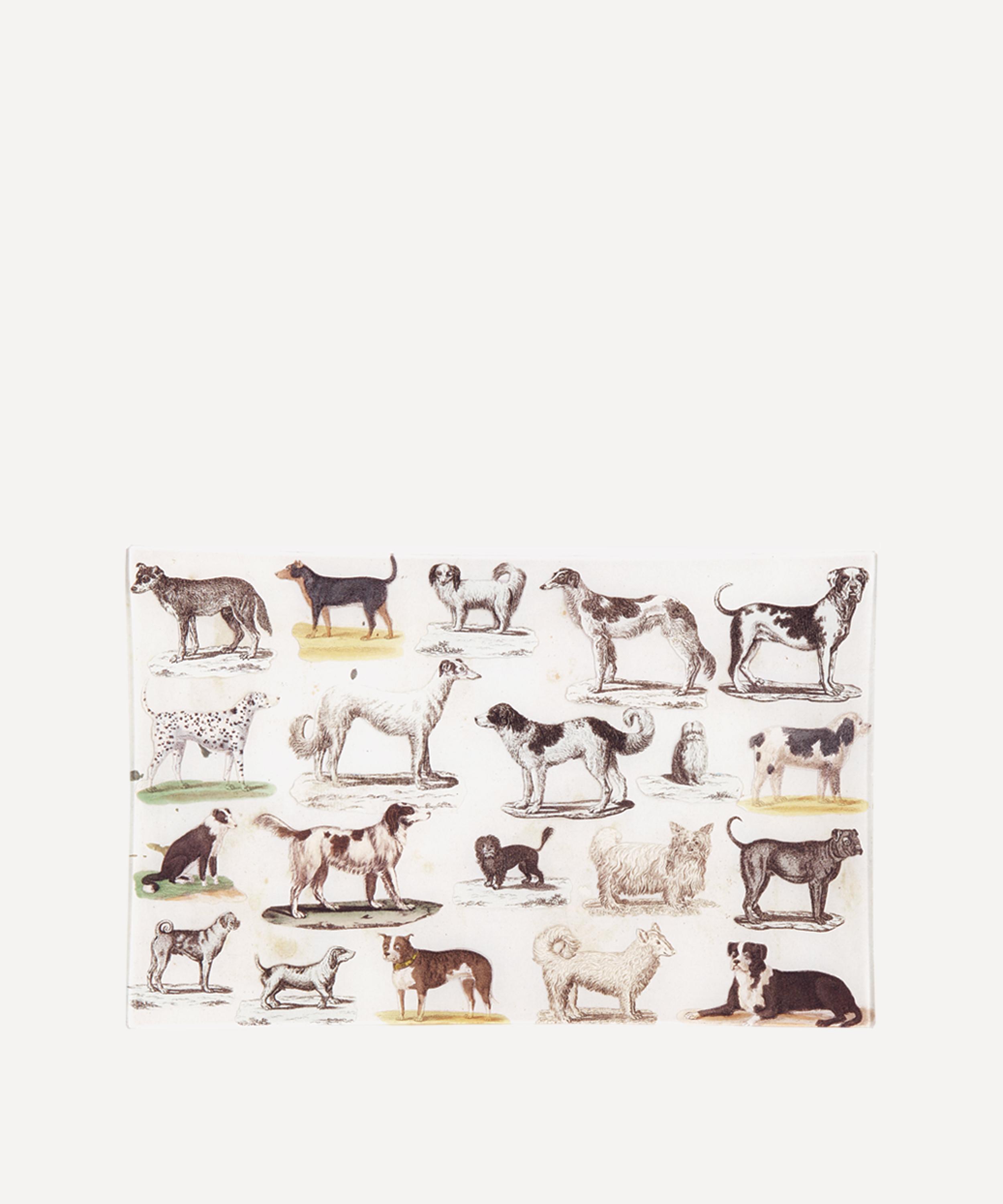 John Derian Dog Run Letter Tray