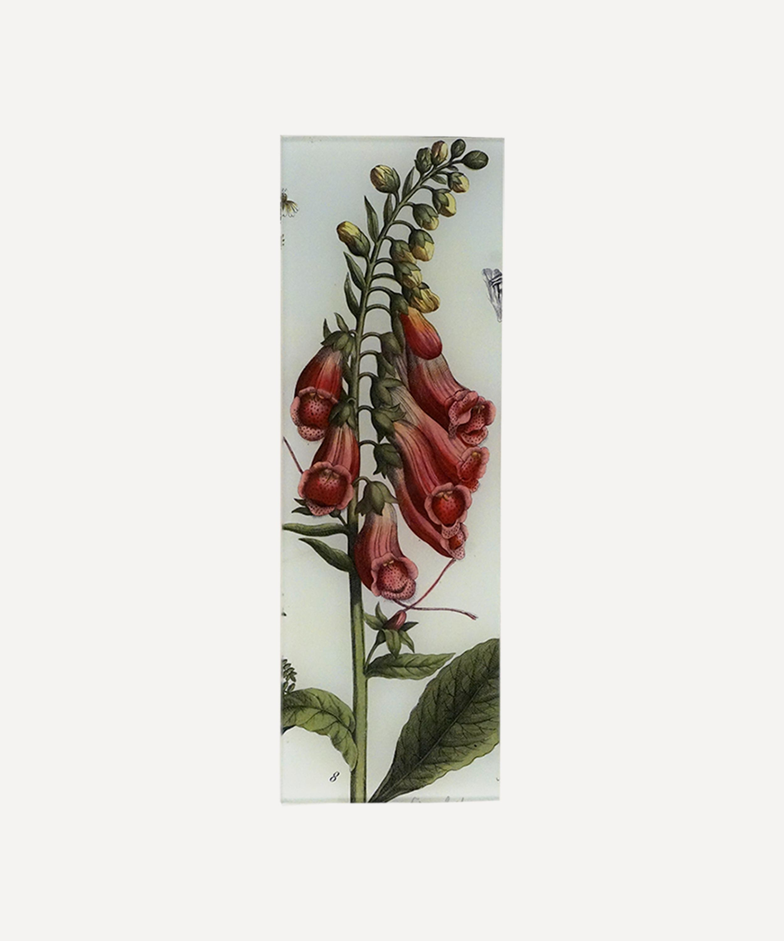 John Derian Foxglove Rectangular Tray