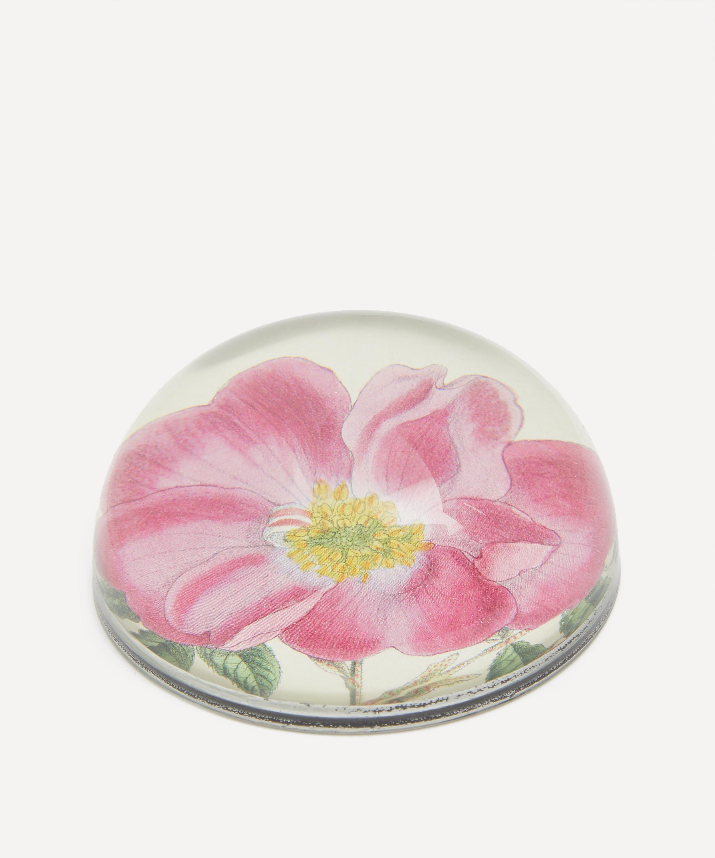 John Derian Rose Incarnata Dome Paperweight