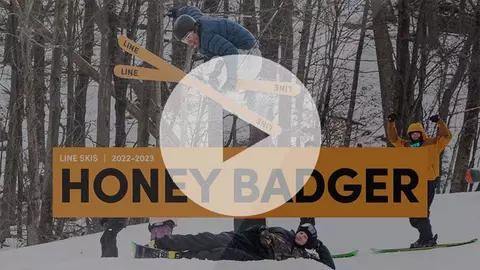 video preview honey badger