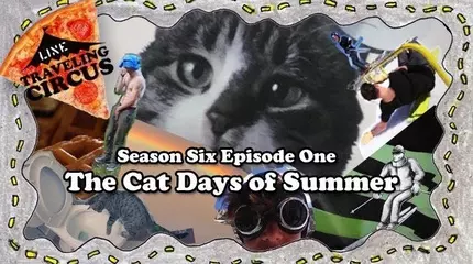 traveling circus 6 1 cat days of summer