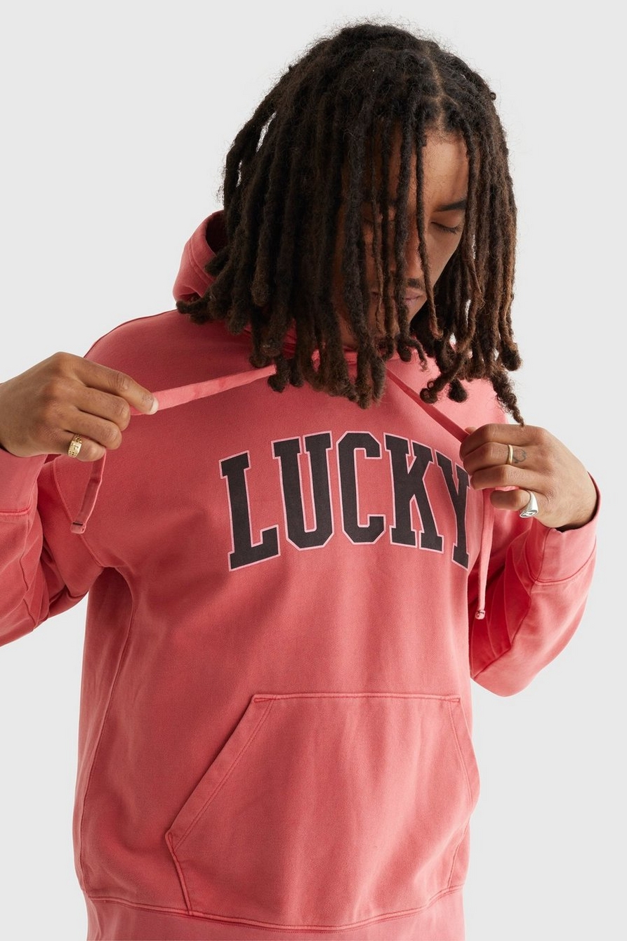 SUEDED TERRY LUCKY BRAND HOODIE, image 6