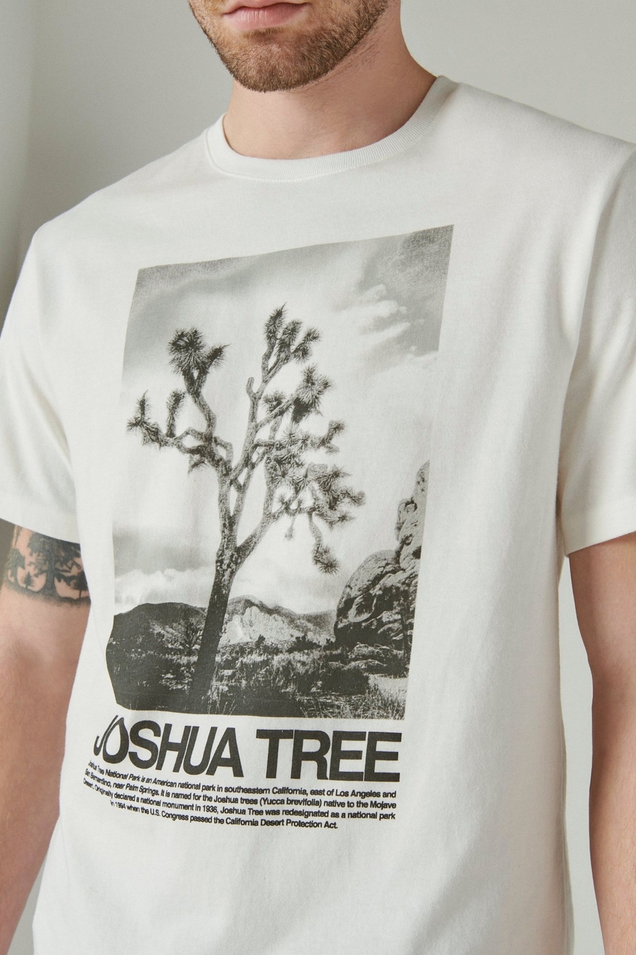 JOSHUA TREE GRAPHIC TEE, image 5