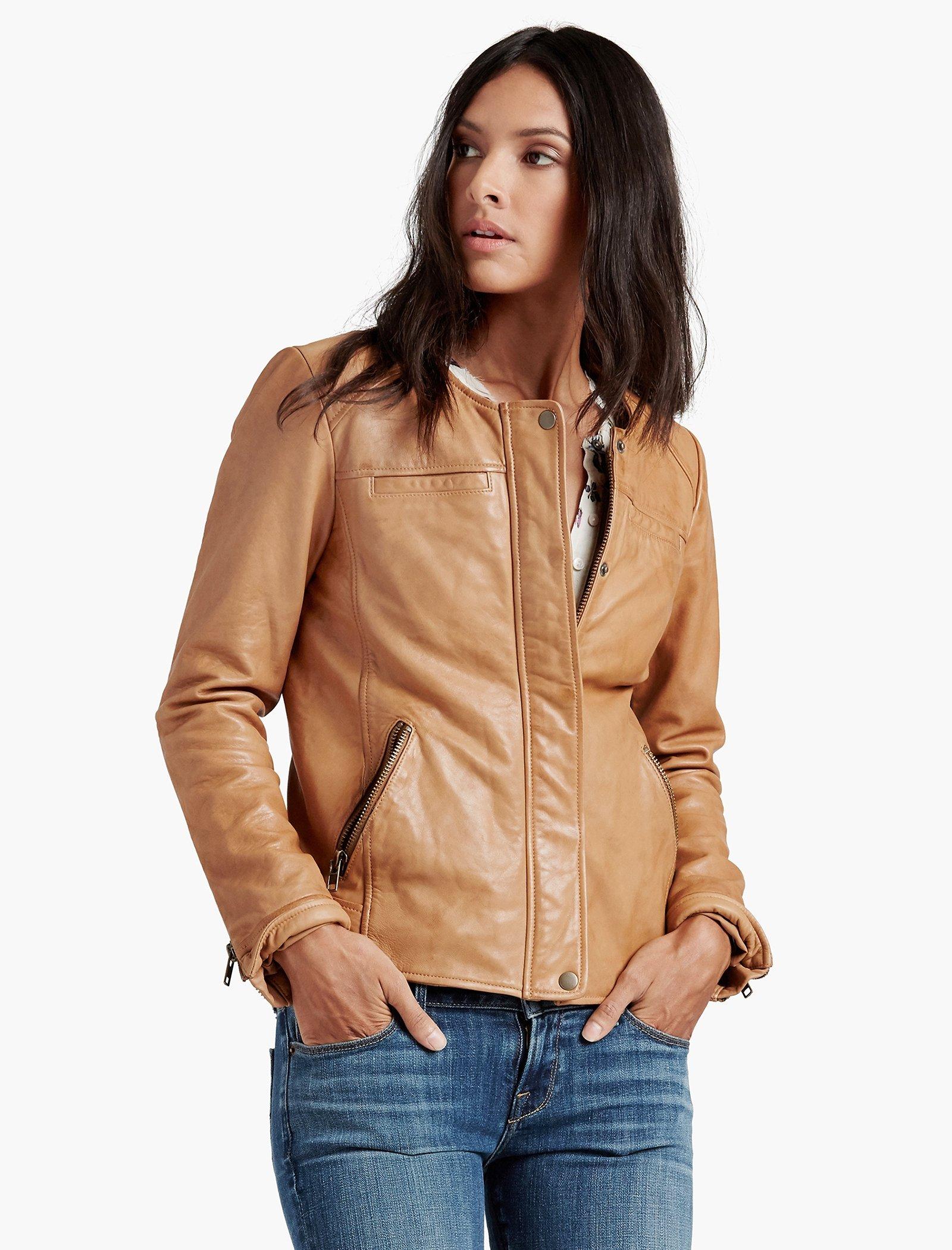 Collarless on sale moto jacket