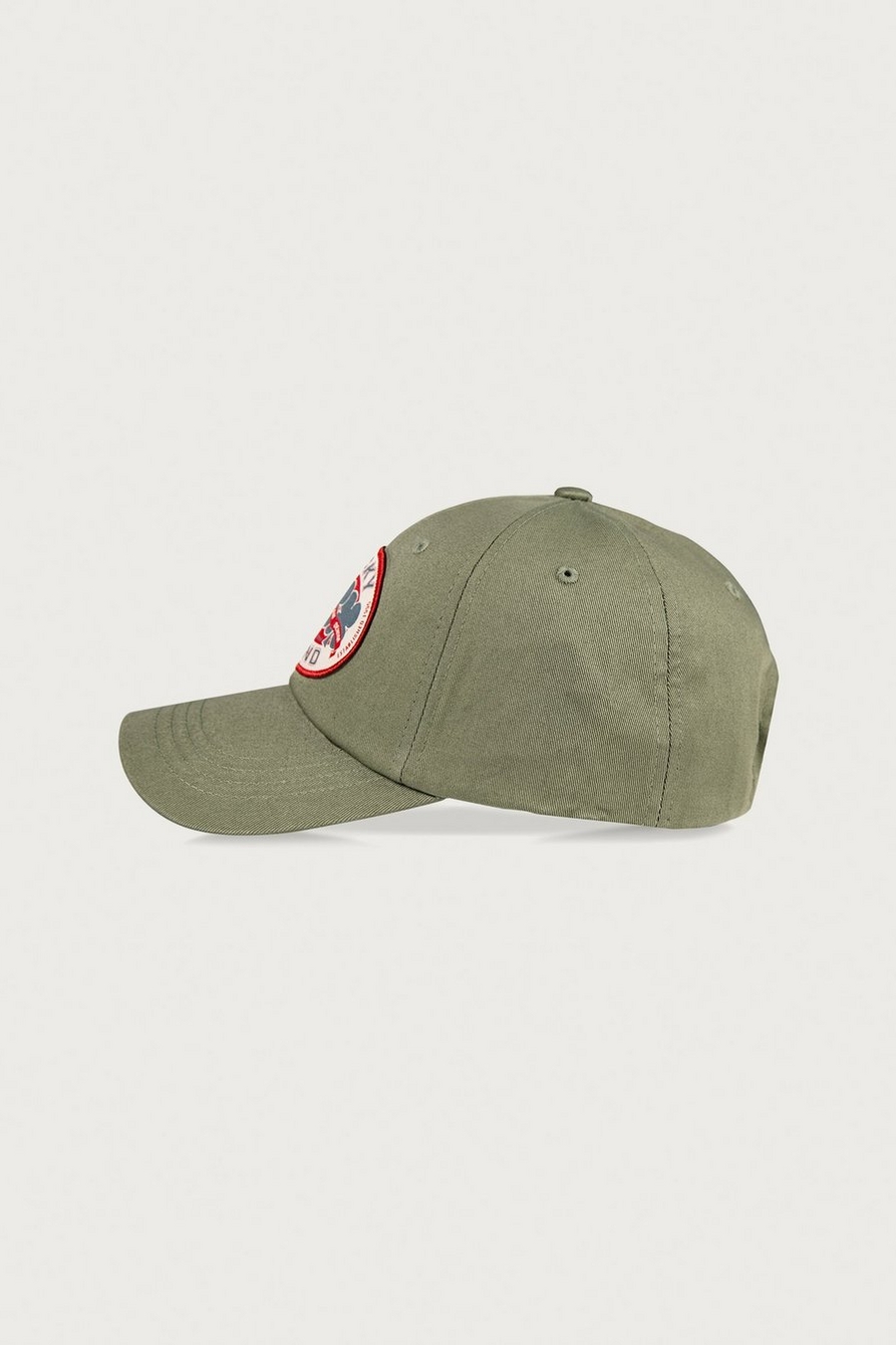Oval Clover Patch Dad Hat, image 5