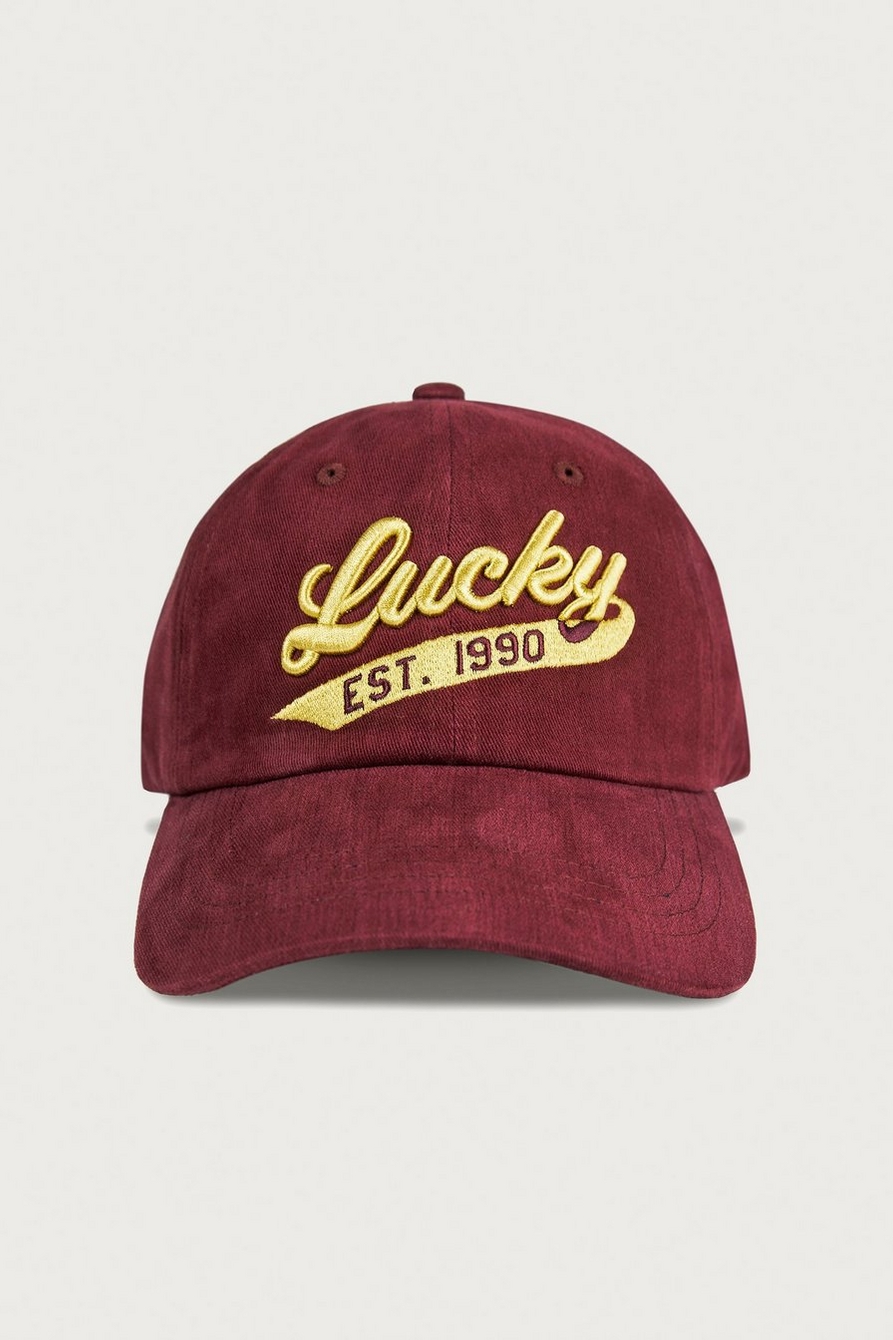 Lucky 1990 Embroidered Dad Hat, image 4