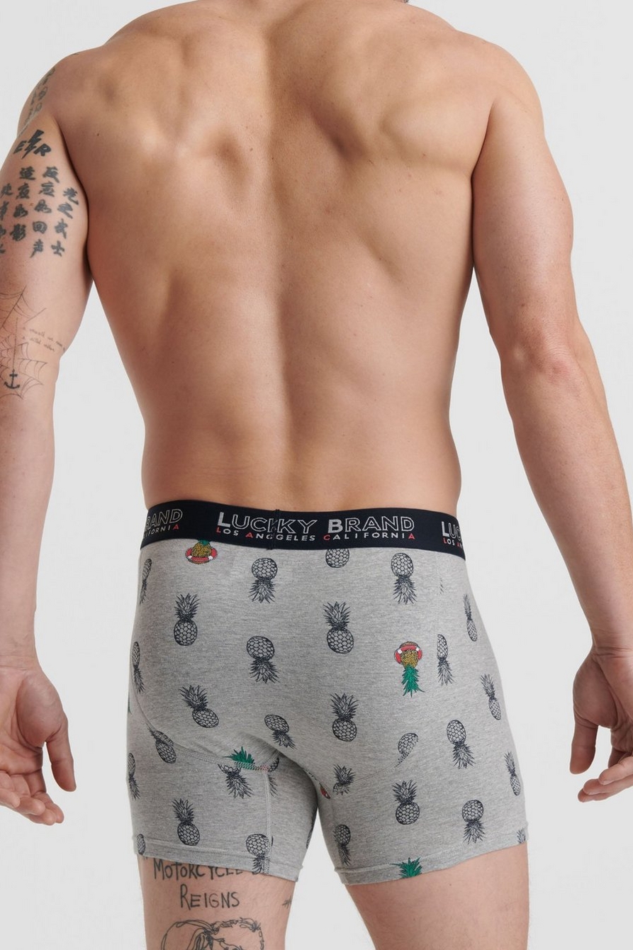 PINEAPPLE 3 PACK BOXERS