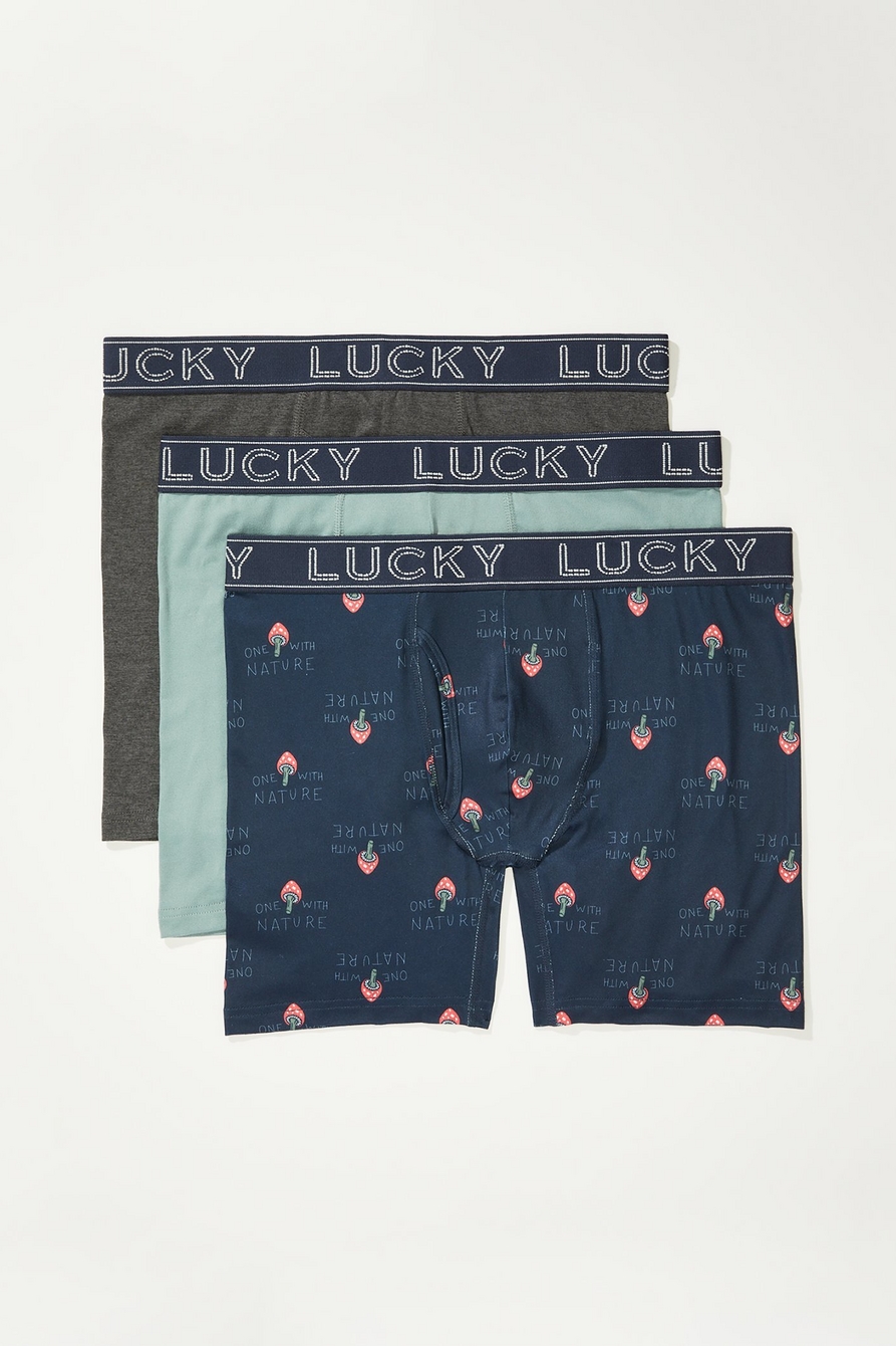 Lucky Brand, Underwear & Socks, Lucky Brand 3 Stretch Boxer Briefs With  Fly Assorted Colours Size Large