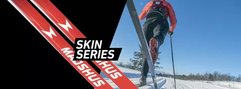 clp banner skin skis