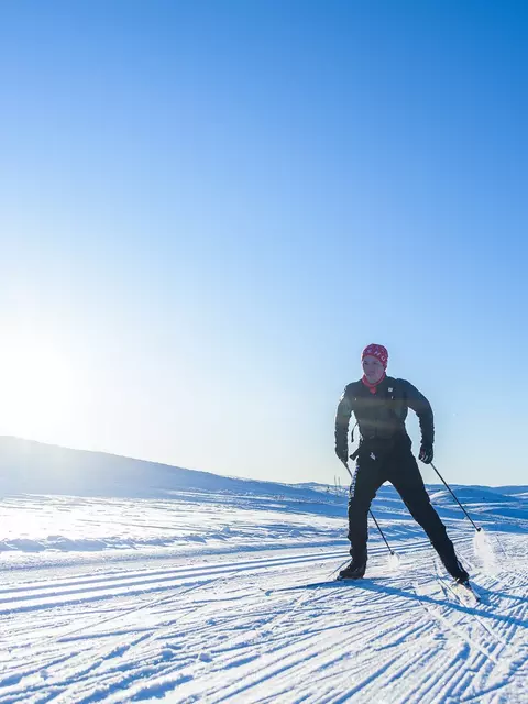 Nordic ski size guide - Speck-Sports