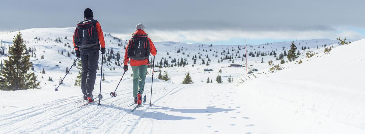 Backcountry Skis